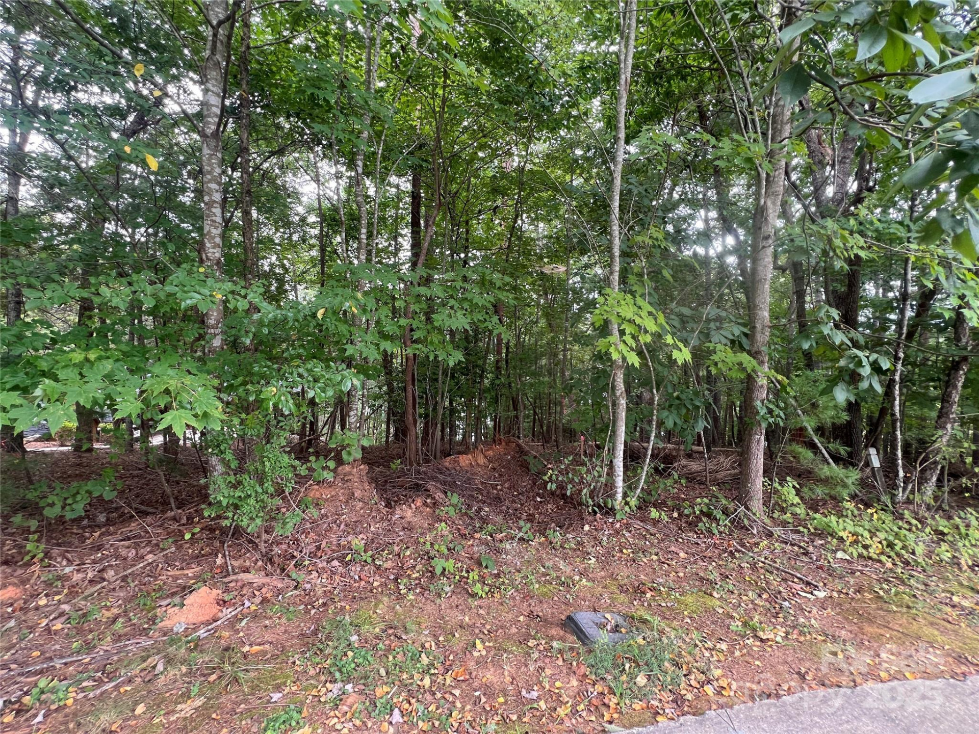 1600 Lillians Point Court #33 - Photo 9