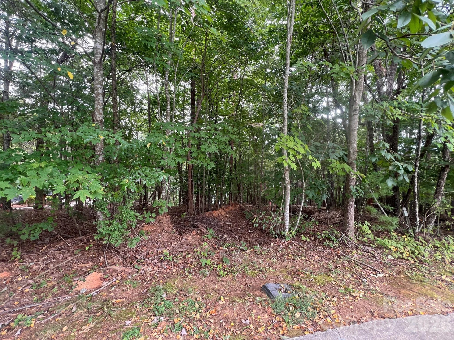 1600 Lillians Point Court #33 - Photo 19