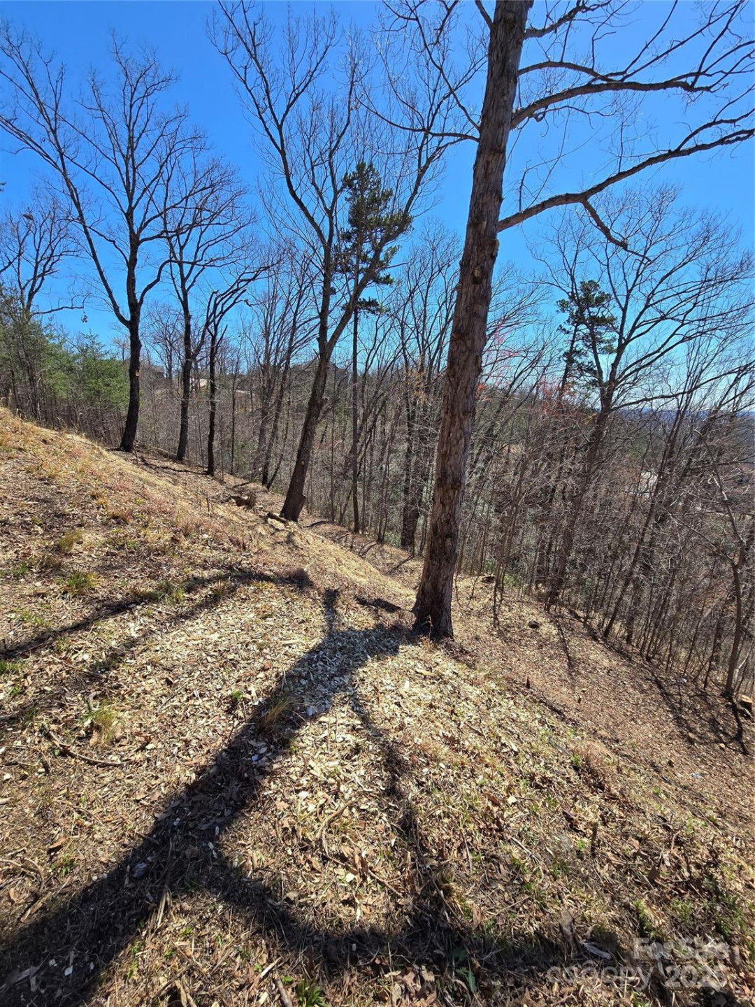 00 Golden Ridge Drive #209 - Photo 11