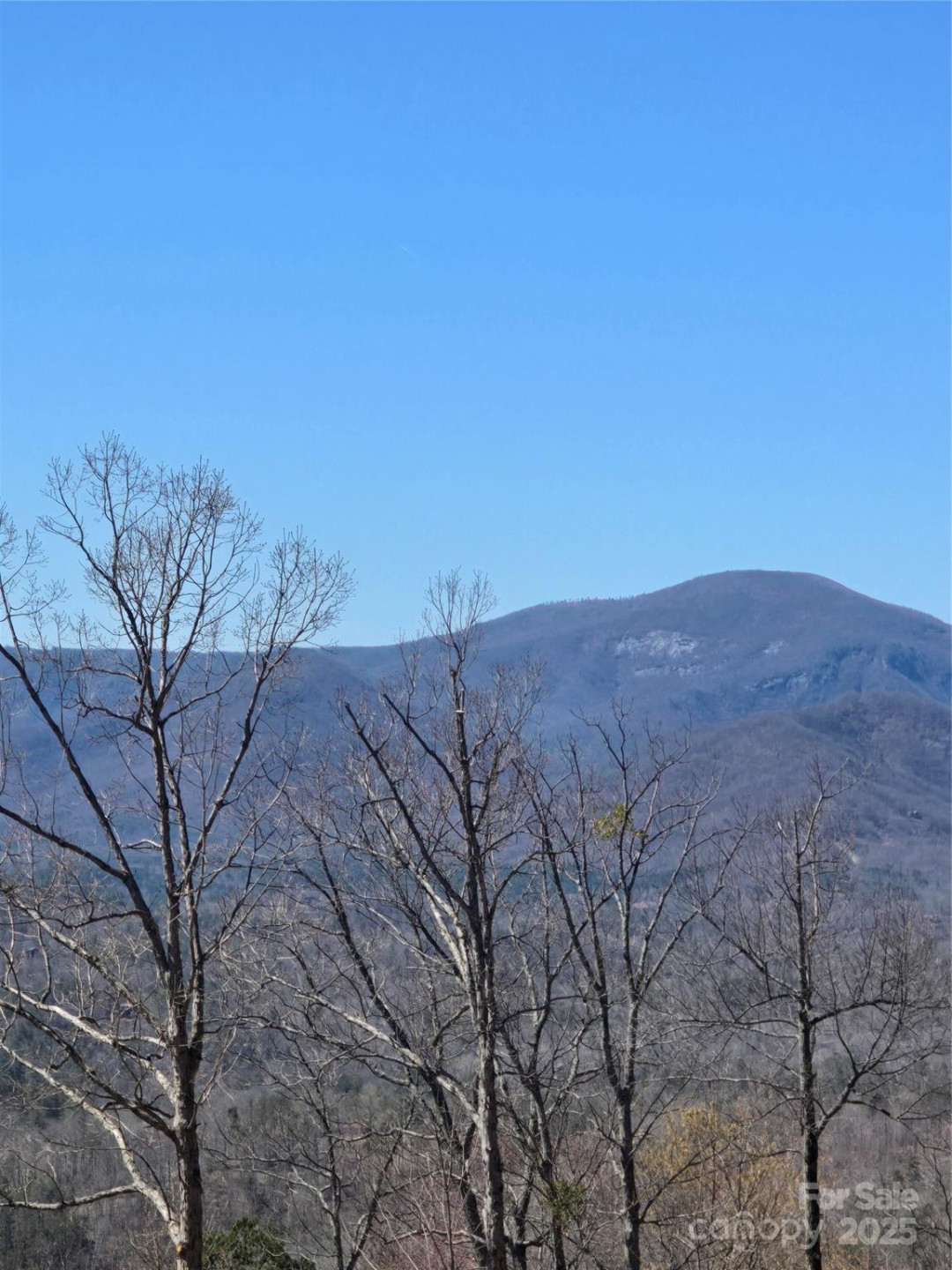 00 Golden Ridge Drive #209 - Photo 12