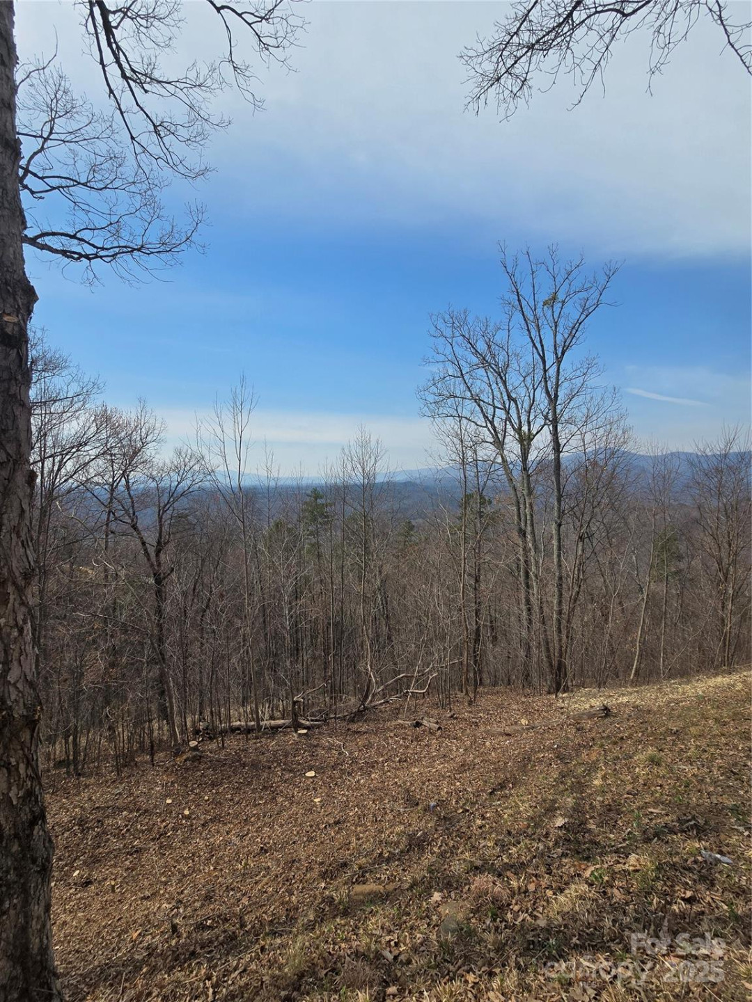 00 Golden Ridge Drive #209 - Photo 3