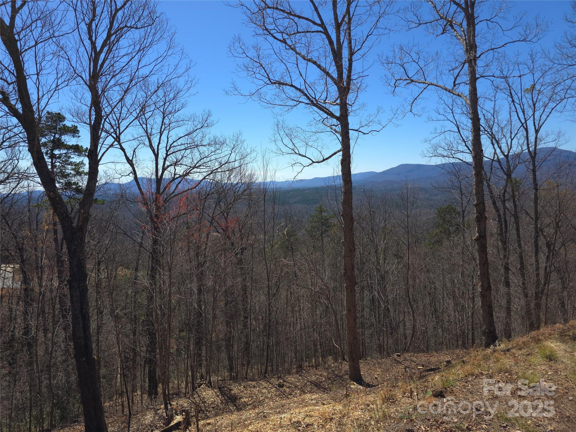 00 Golden Ridge Drive #209 - Photo 4