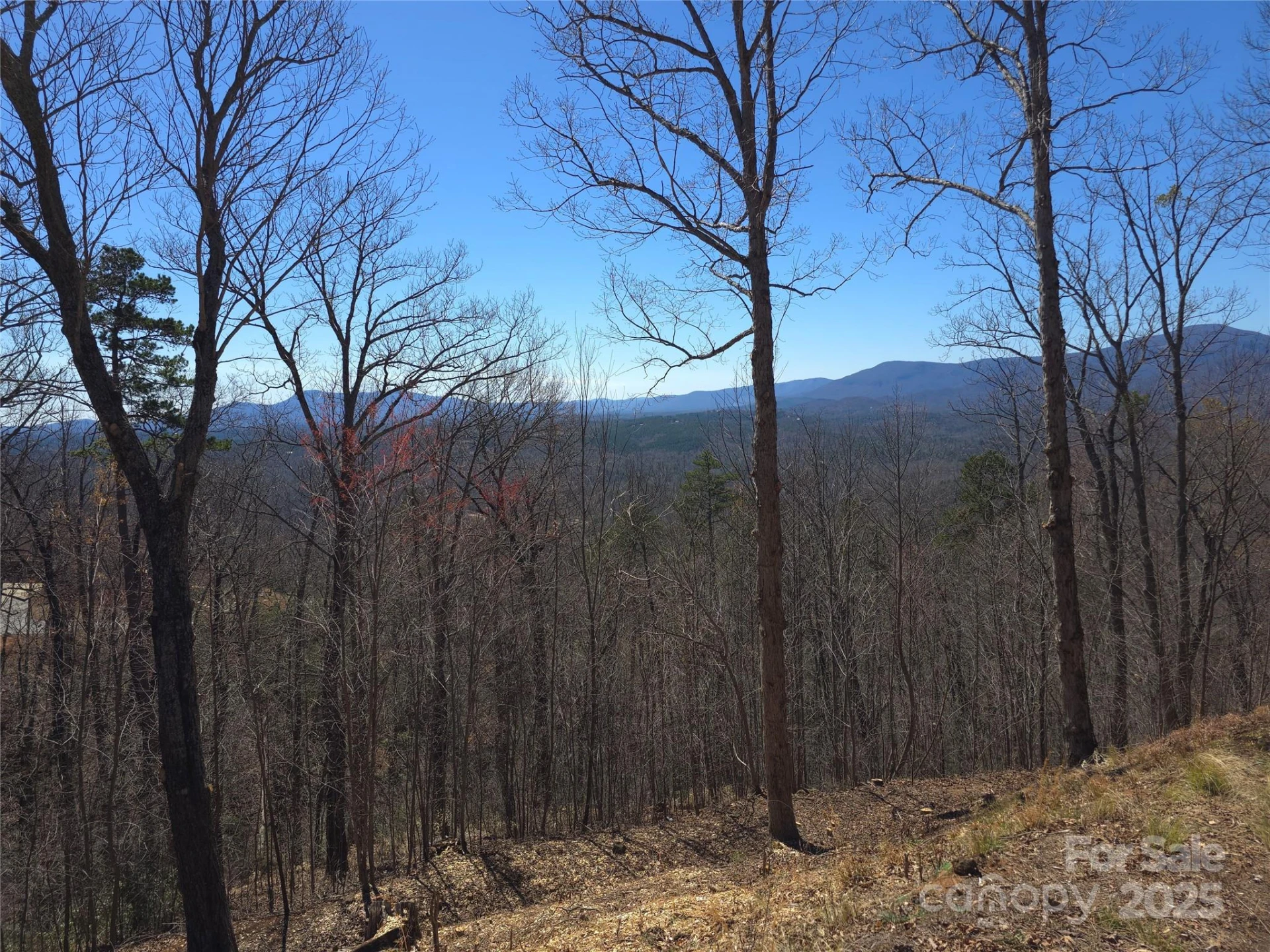 00 Golden Ridge Drive #209 - Photo 4