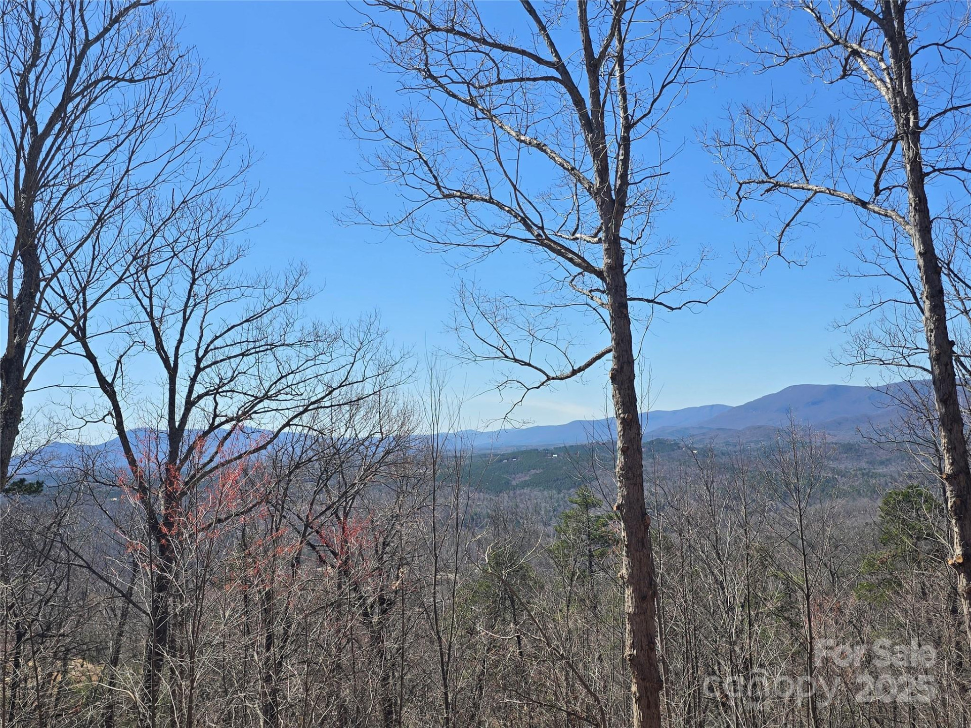 00 Golden Ridge Drive #209 - Photo 6