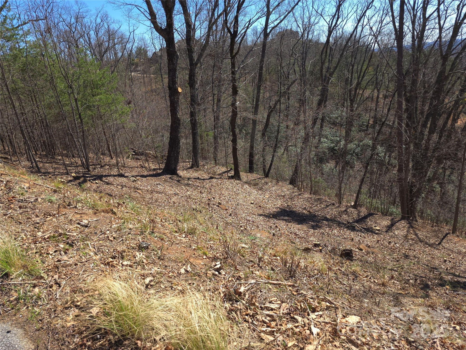 00 Golden Ridge Drive #209 - Photo 7