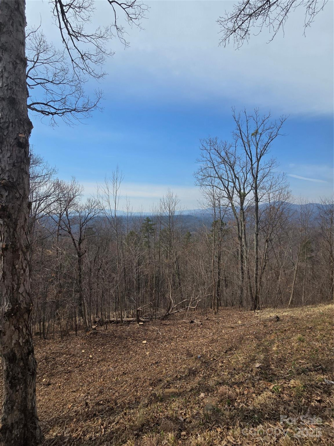 00 Golden Ridge Drive #209 - Photo 8