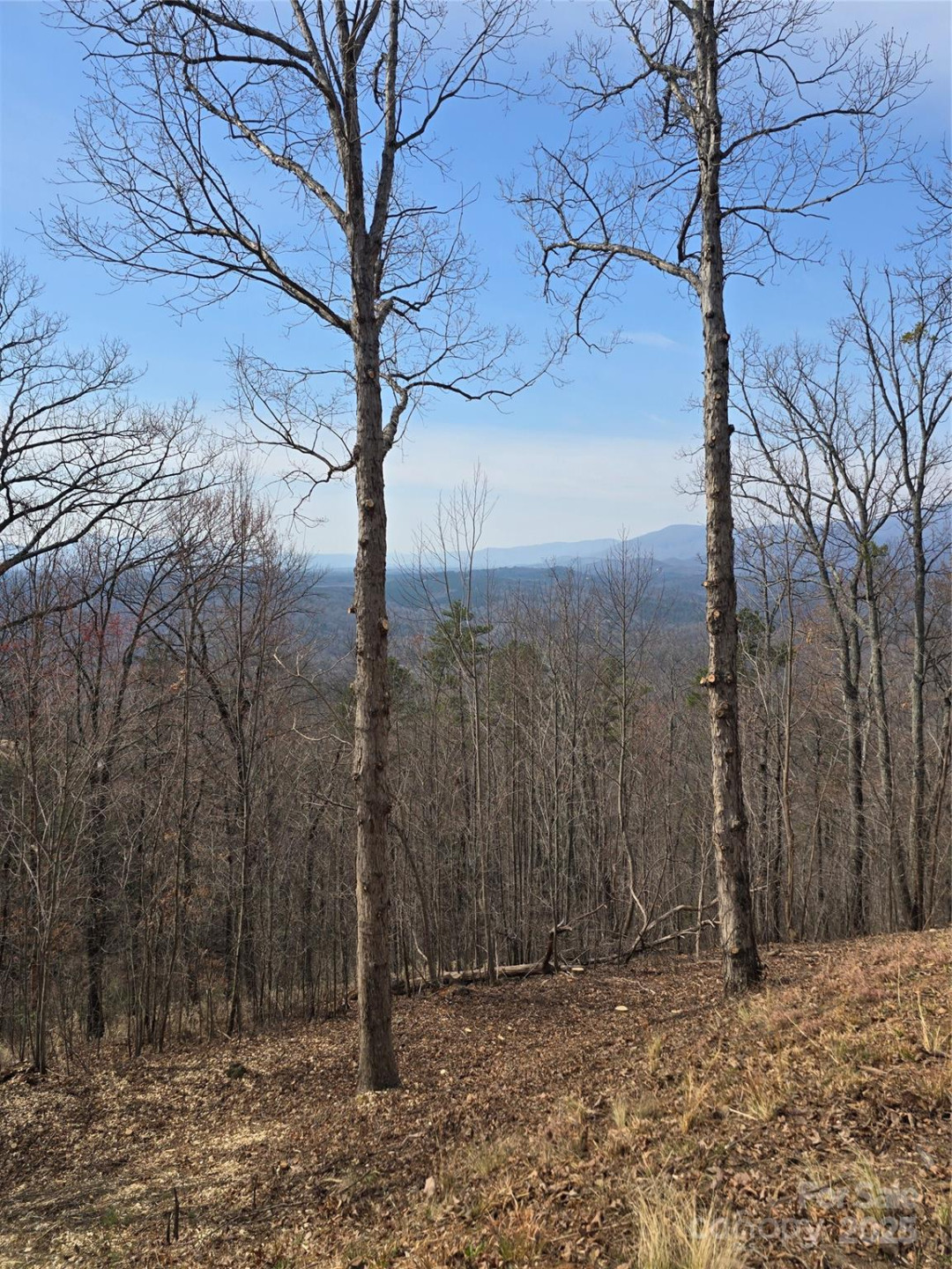 00 Golden Ridge Drive #209 - Photo 9