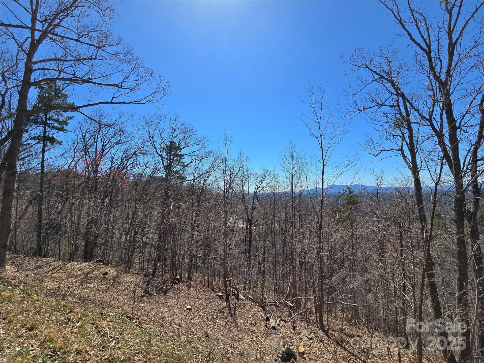 00 Golden Ridge Drive #209 - Photo 10