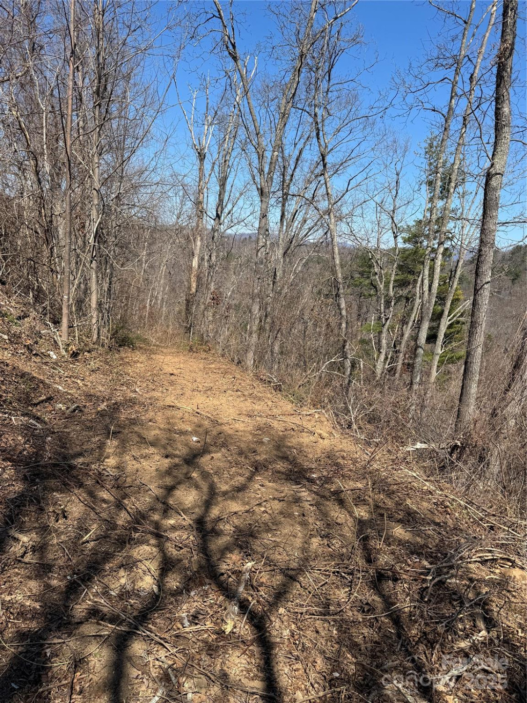 140 Summit Tower Circle #212 - Photo 3