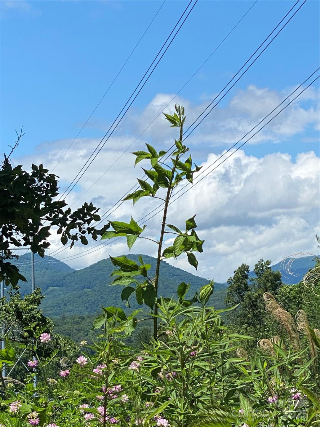 5 Shakedown Street #20 - Photo 9