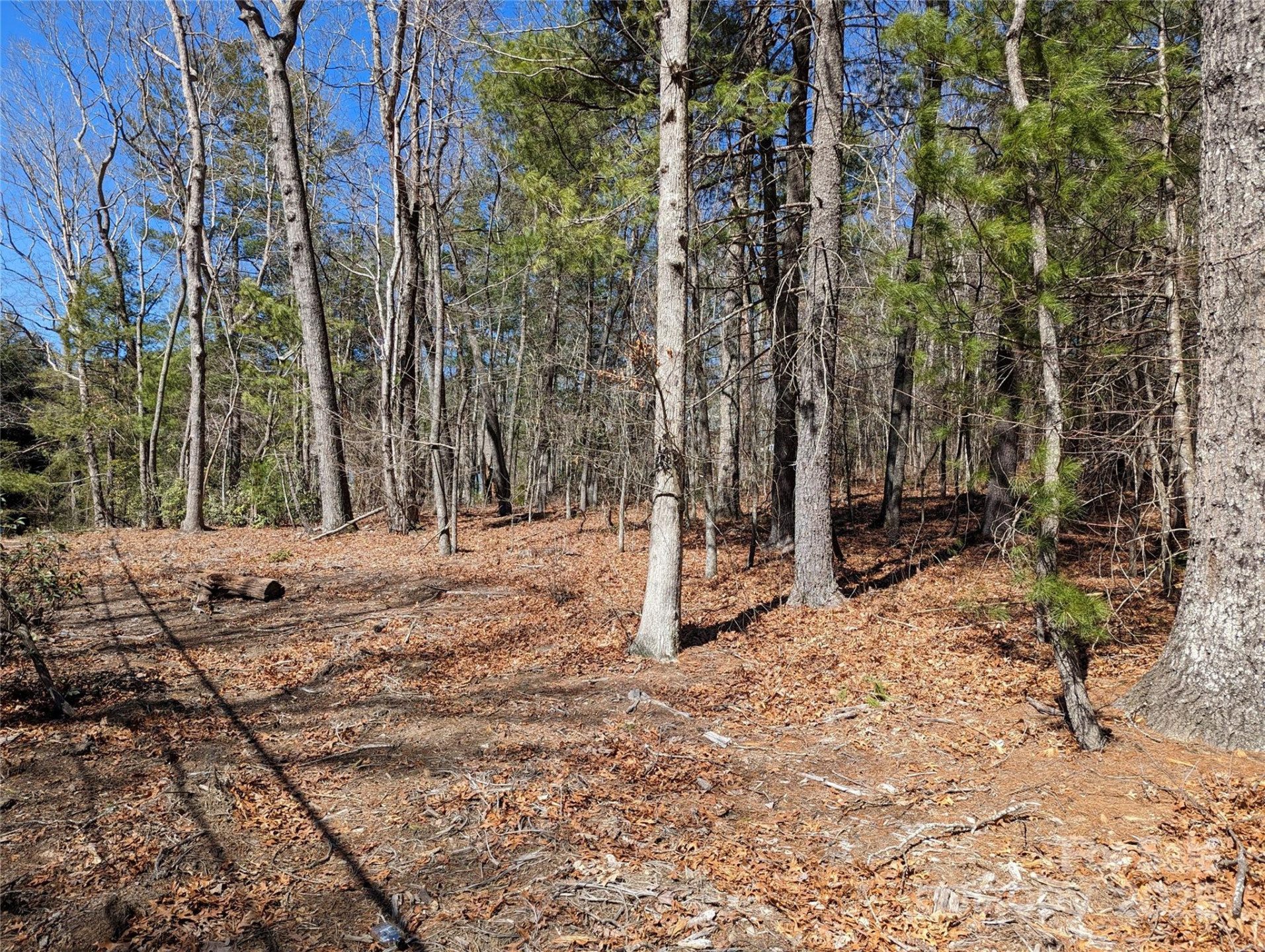 Lot 1 Chinquapin Hill - Photo 5