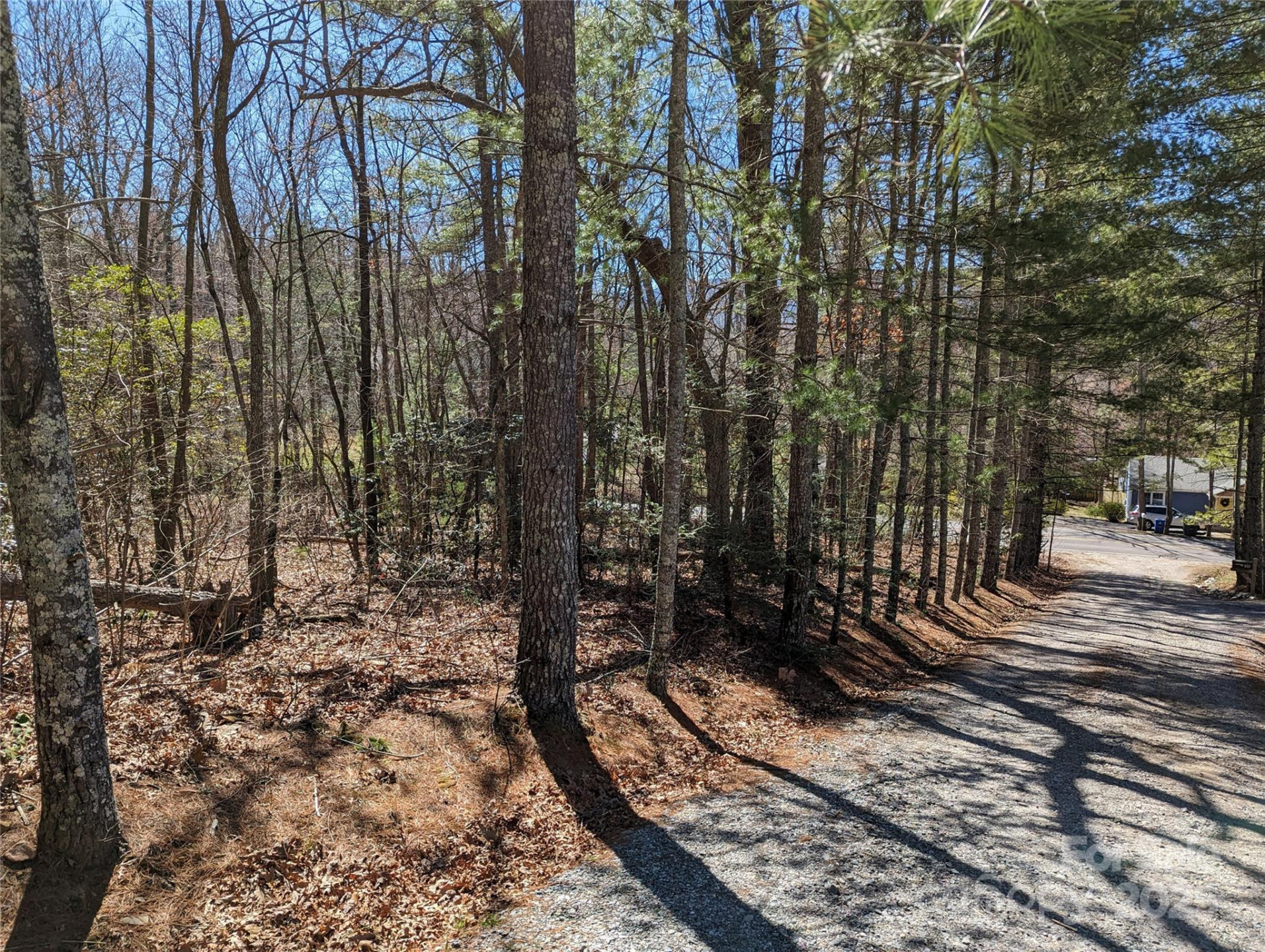 Lot 1 Chinquapin Hill - Photo 6