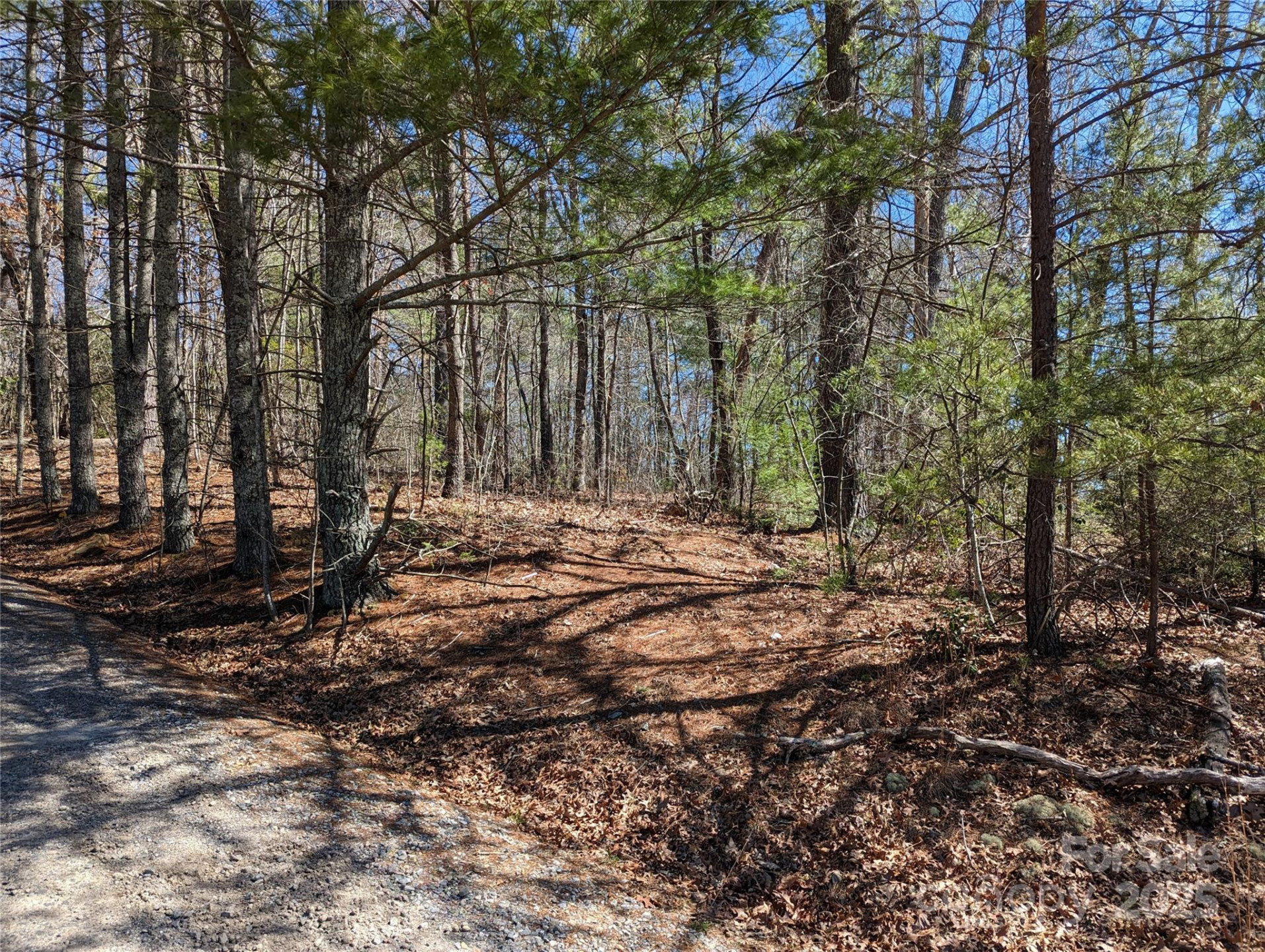 Lot 1 Chinquapin Hill - Photo 7