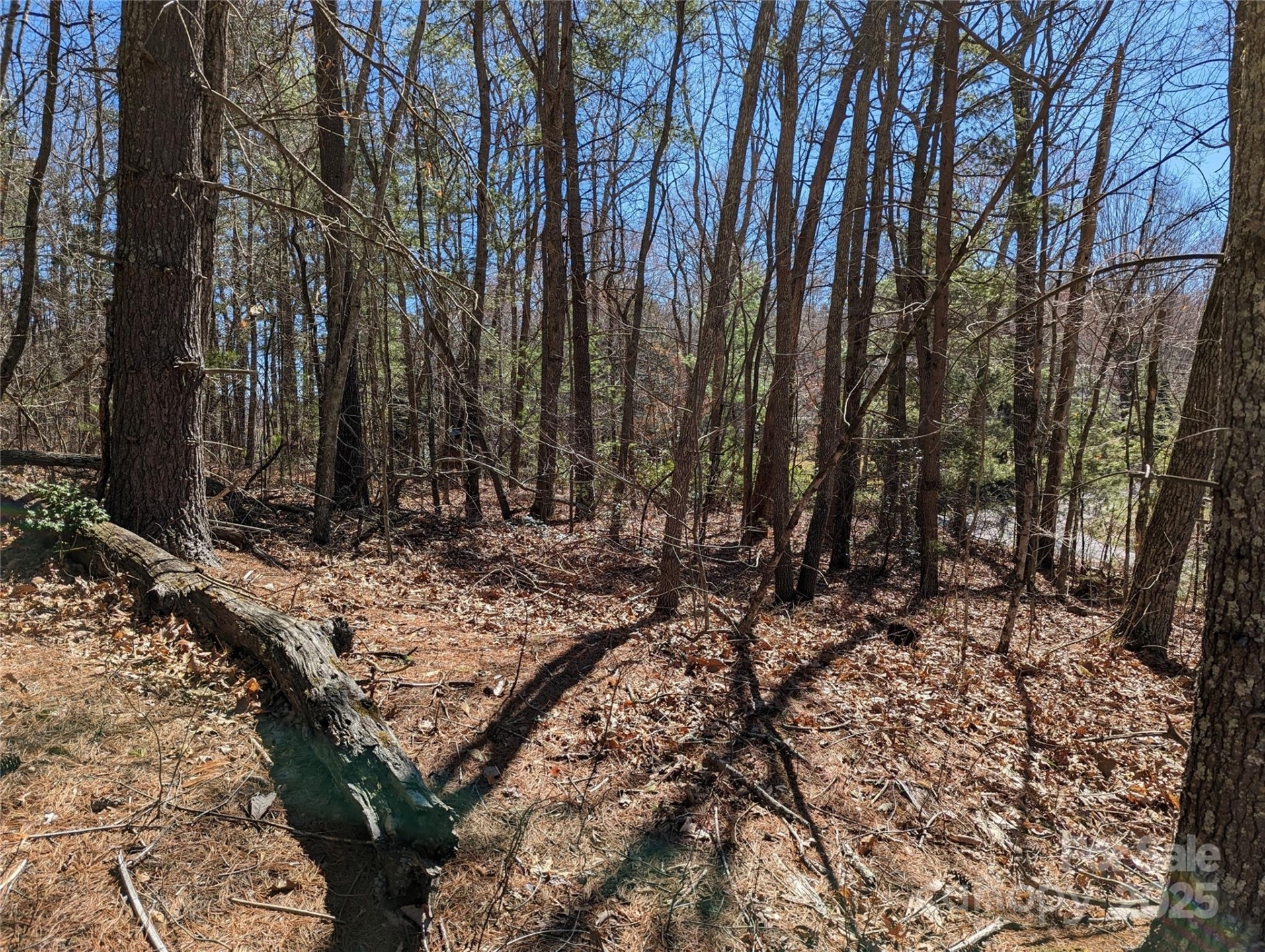 Lot 1 Chinquapin Hill - Photo 9