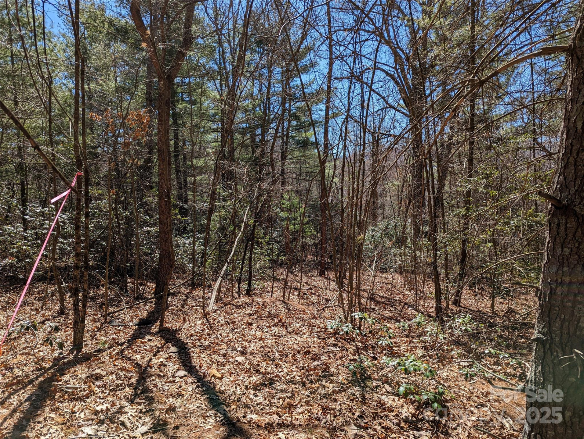 Lot 2 Chinquapin Hill - Photo 4