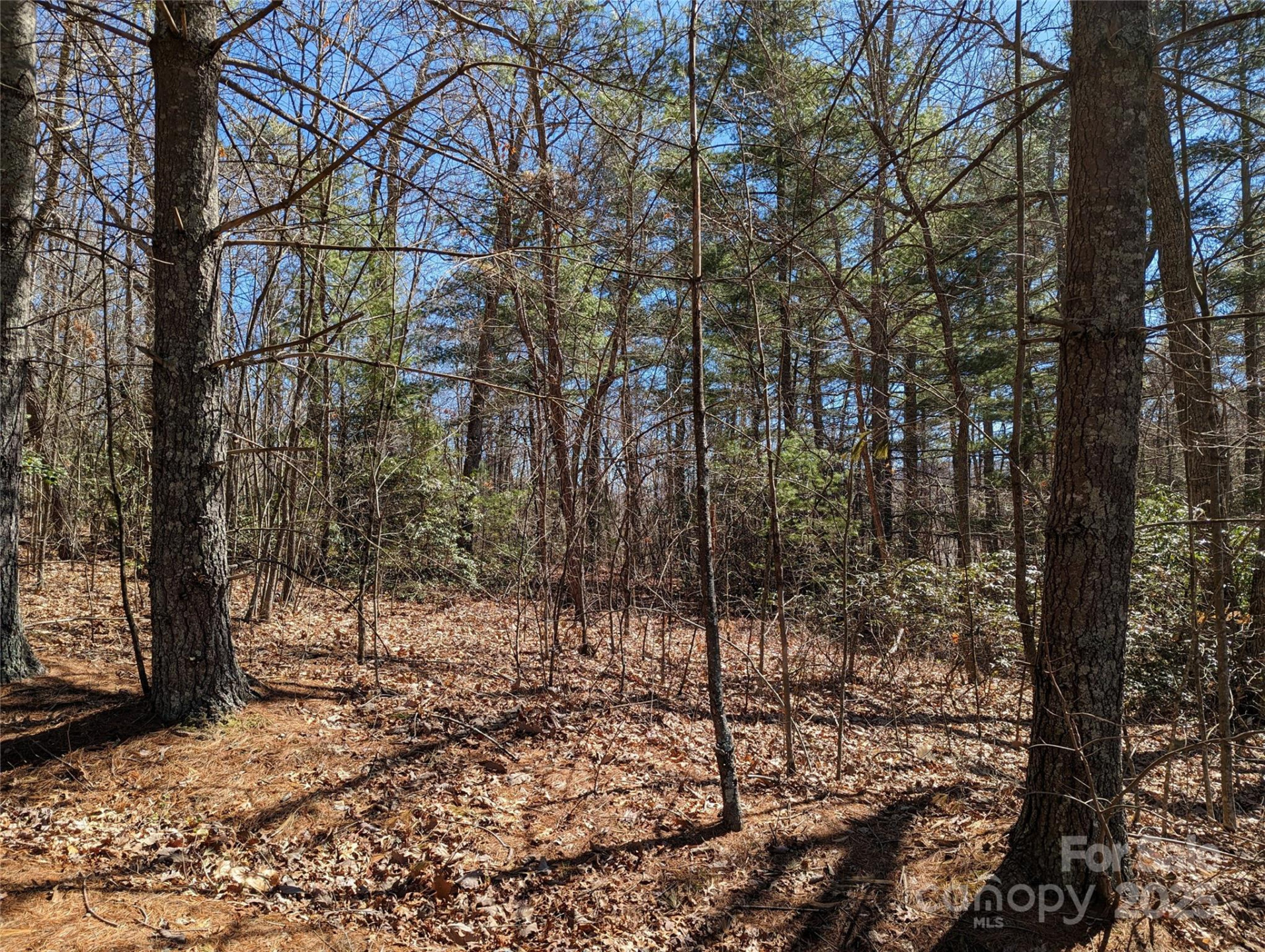 Lot 2 Chinquapin Hill - Photo 5