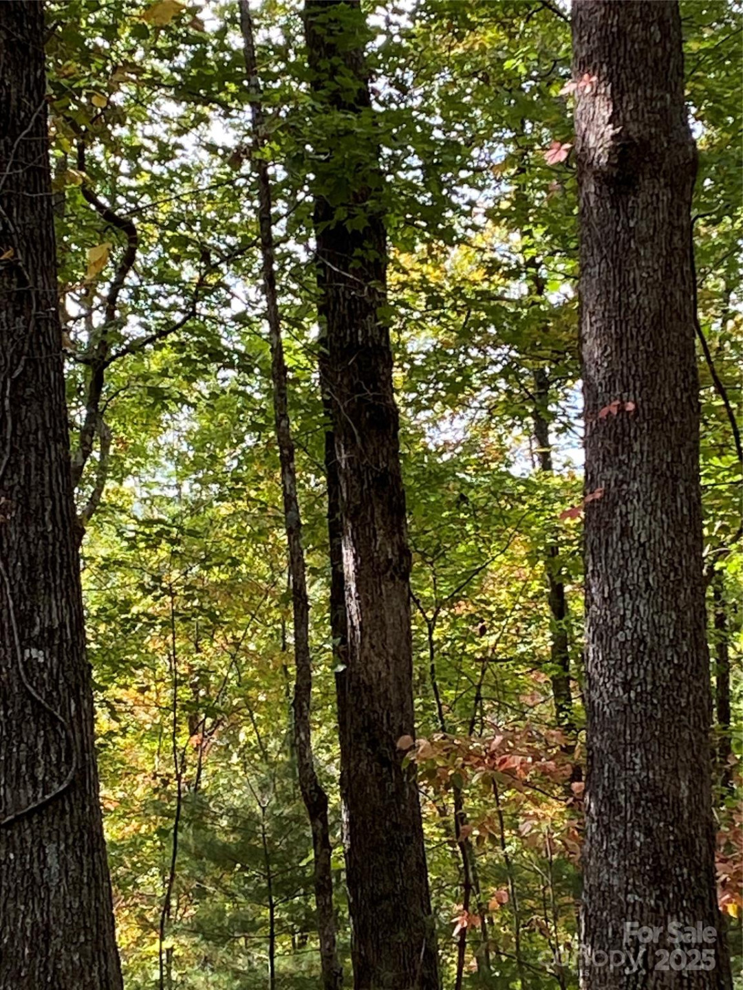 Lot 28 Mentink Way - Photo 3