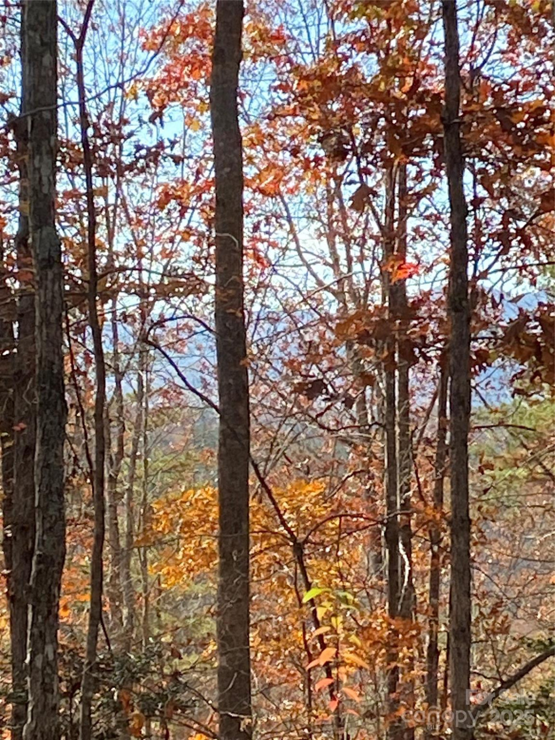 Lot 28 Mentink Way - Photo 4