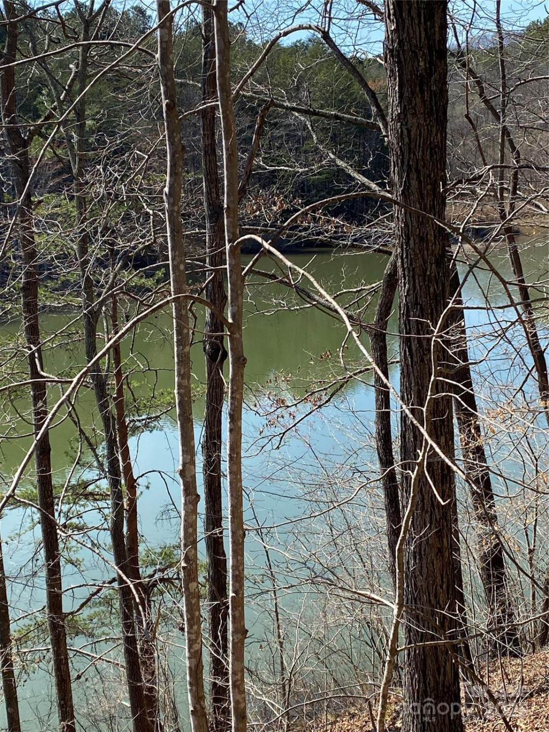 Lot 28 Mentink Way - Photo 9