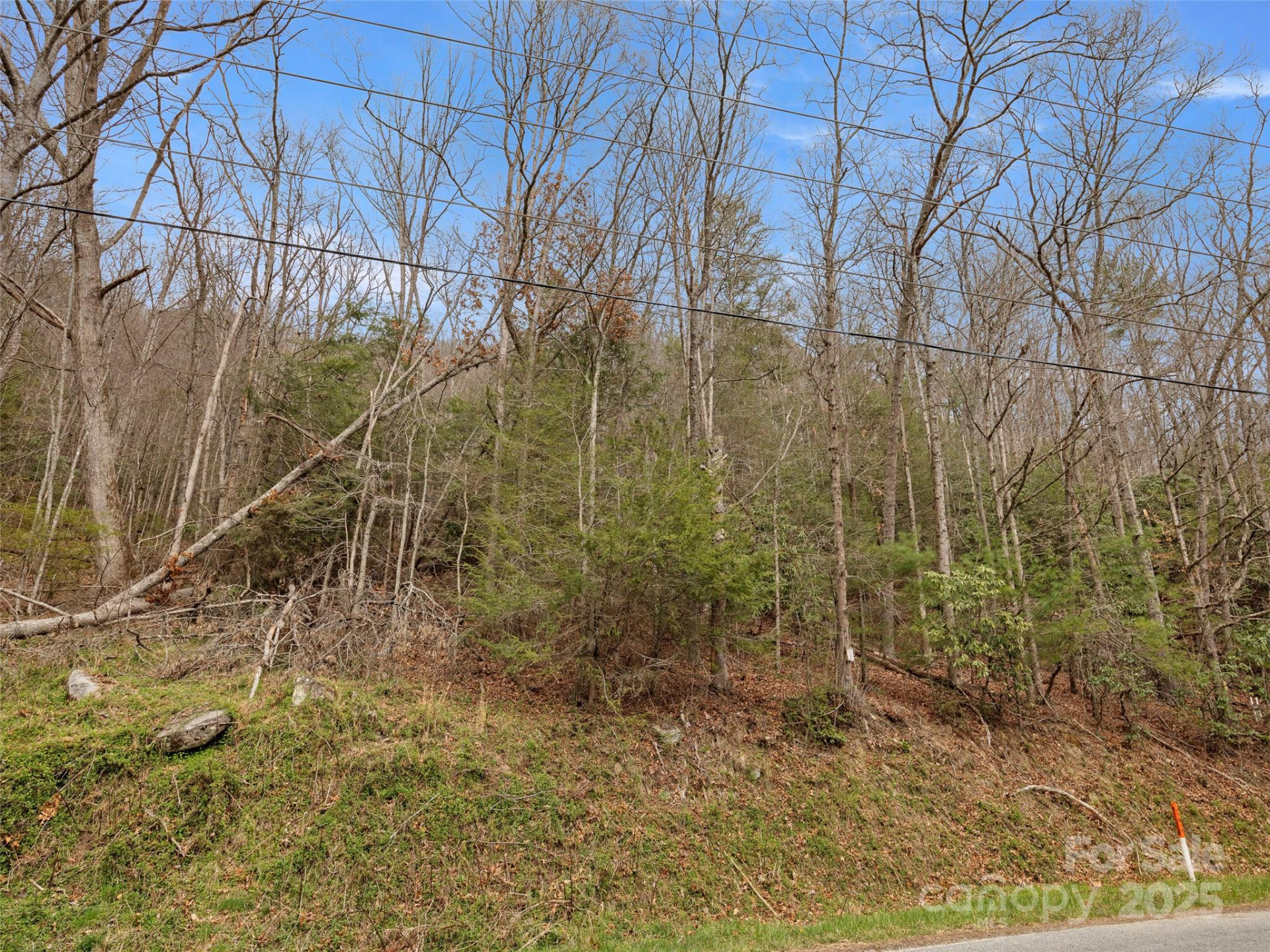 9999 Panther Creek Road #B - Photo 3