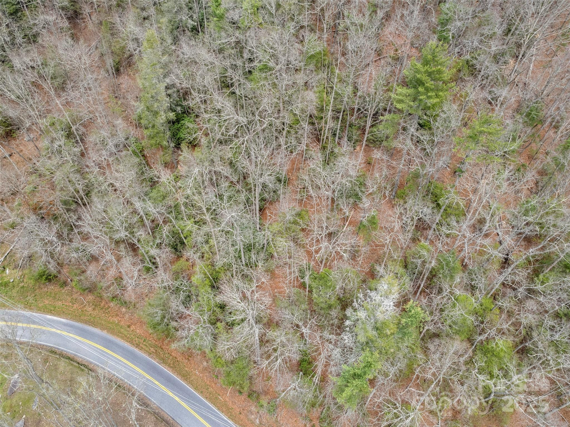 9999 Panther Creek Road #B - Photo 7