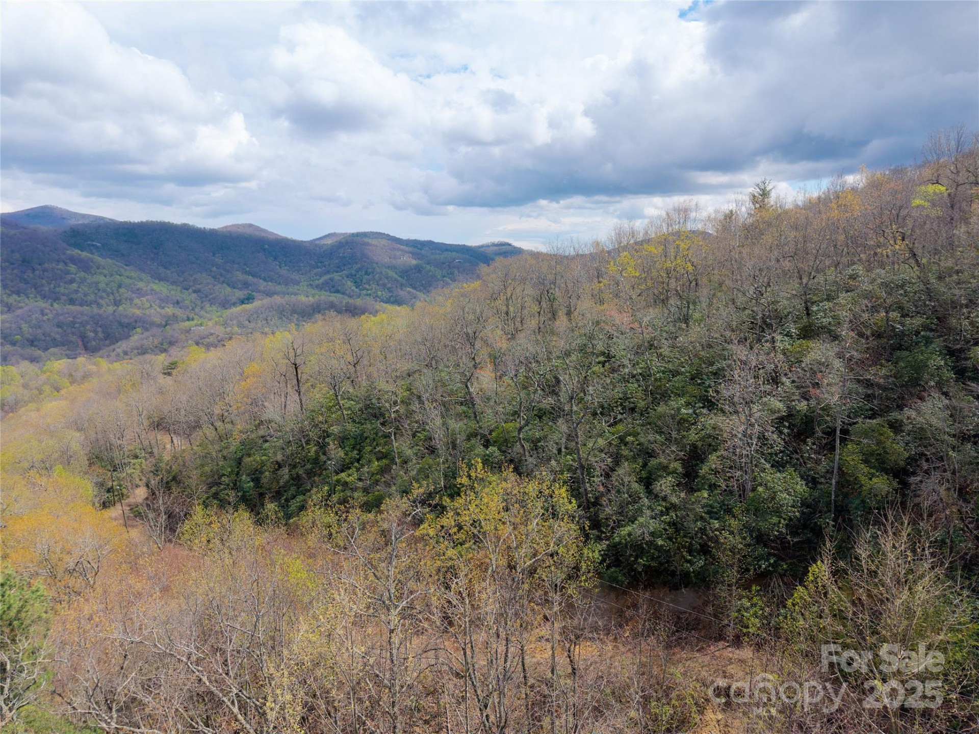 000 NC 9 Highway - Photo 11