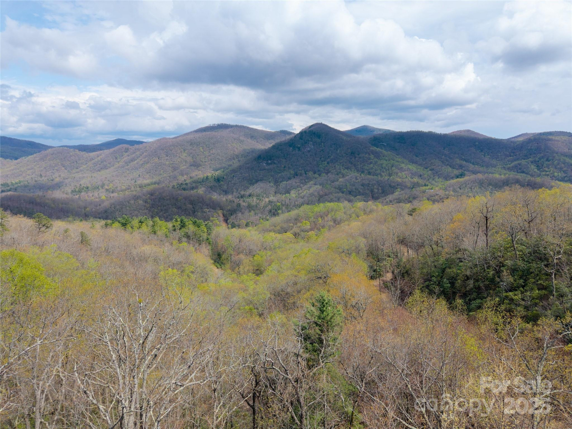 000 NC 9 Highway - Photo 12