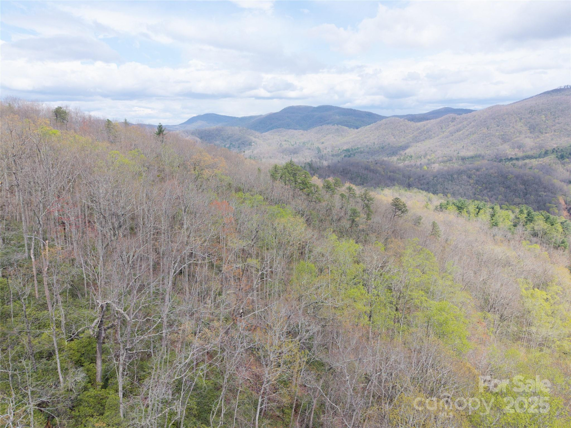 000 NC 9 Highway - Photo 14