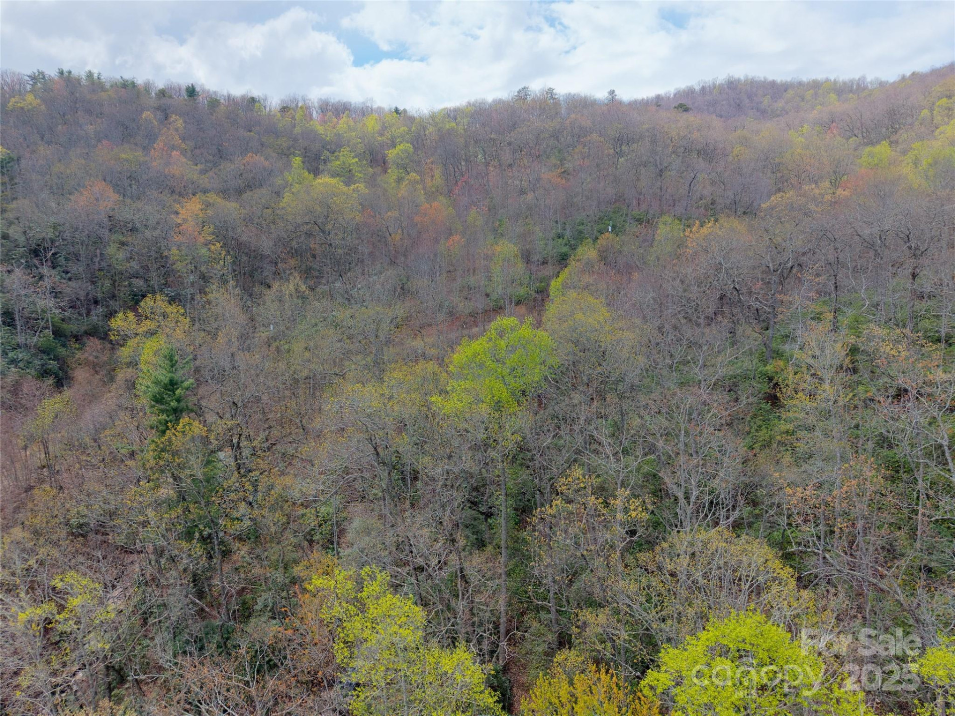 000 NC 9 Highway - Photo 16