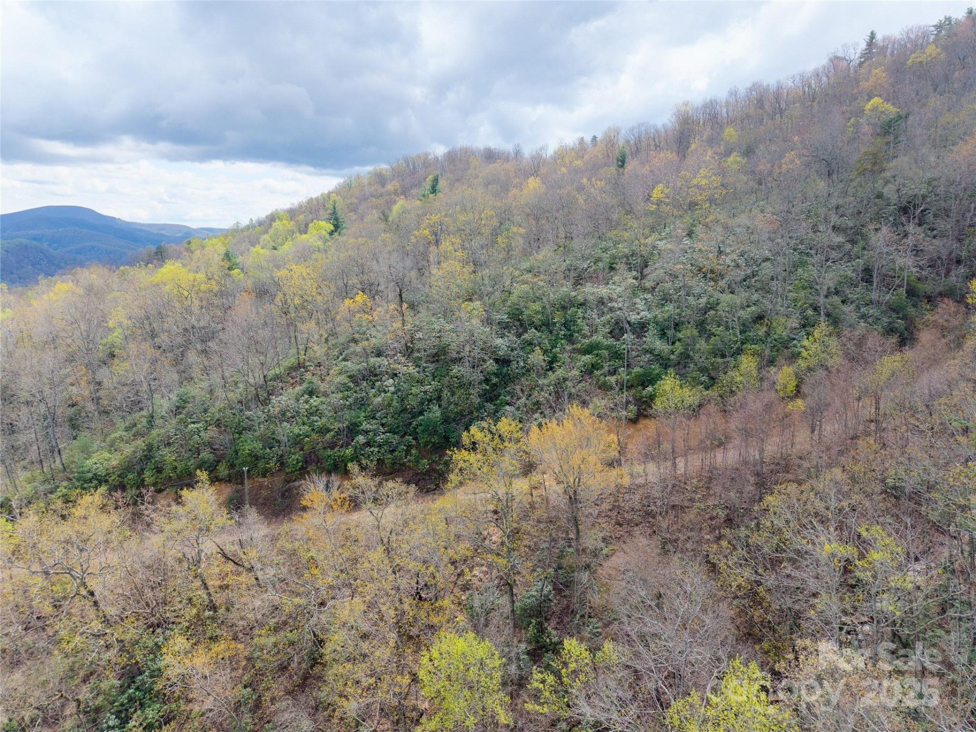 000 NC 9 Highway - Photo 18