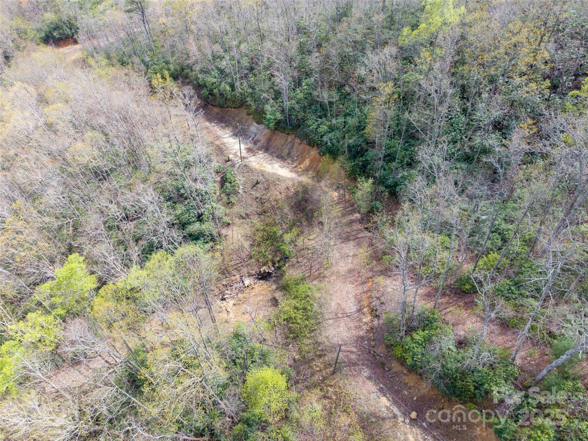 000 NC 9 Highway - Photo 19