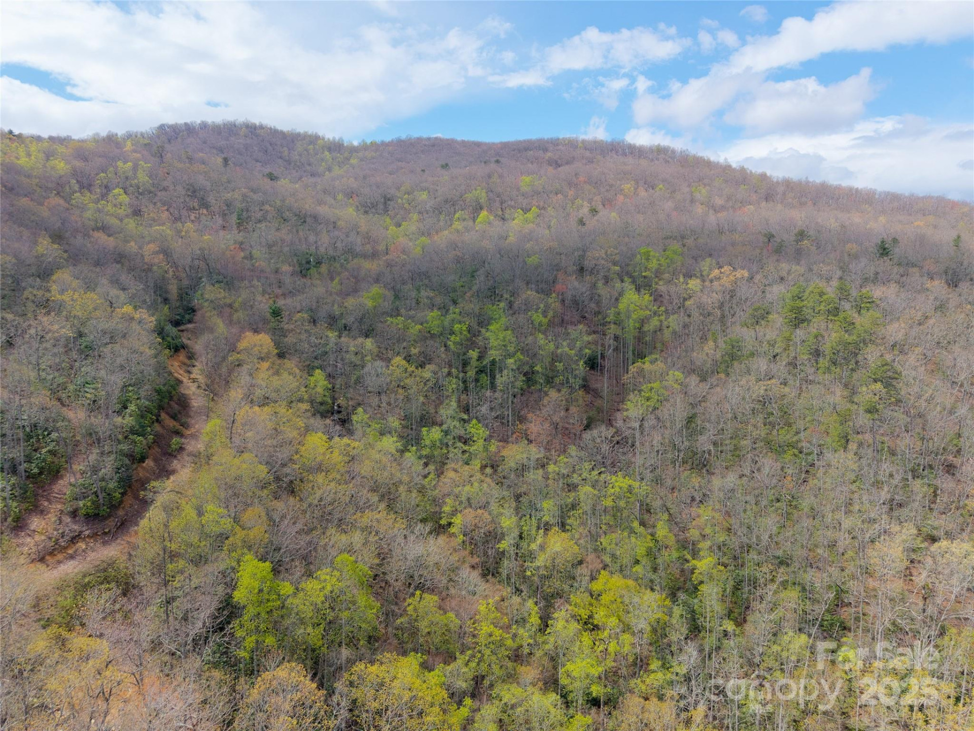 000 NC 9 Highway - Photo 20