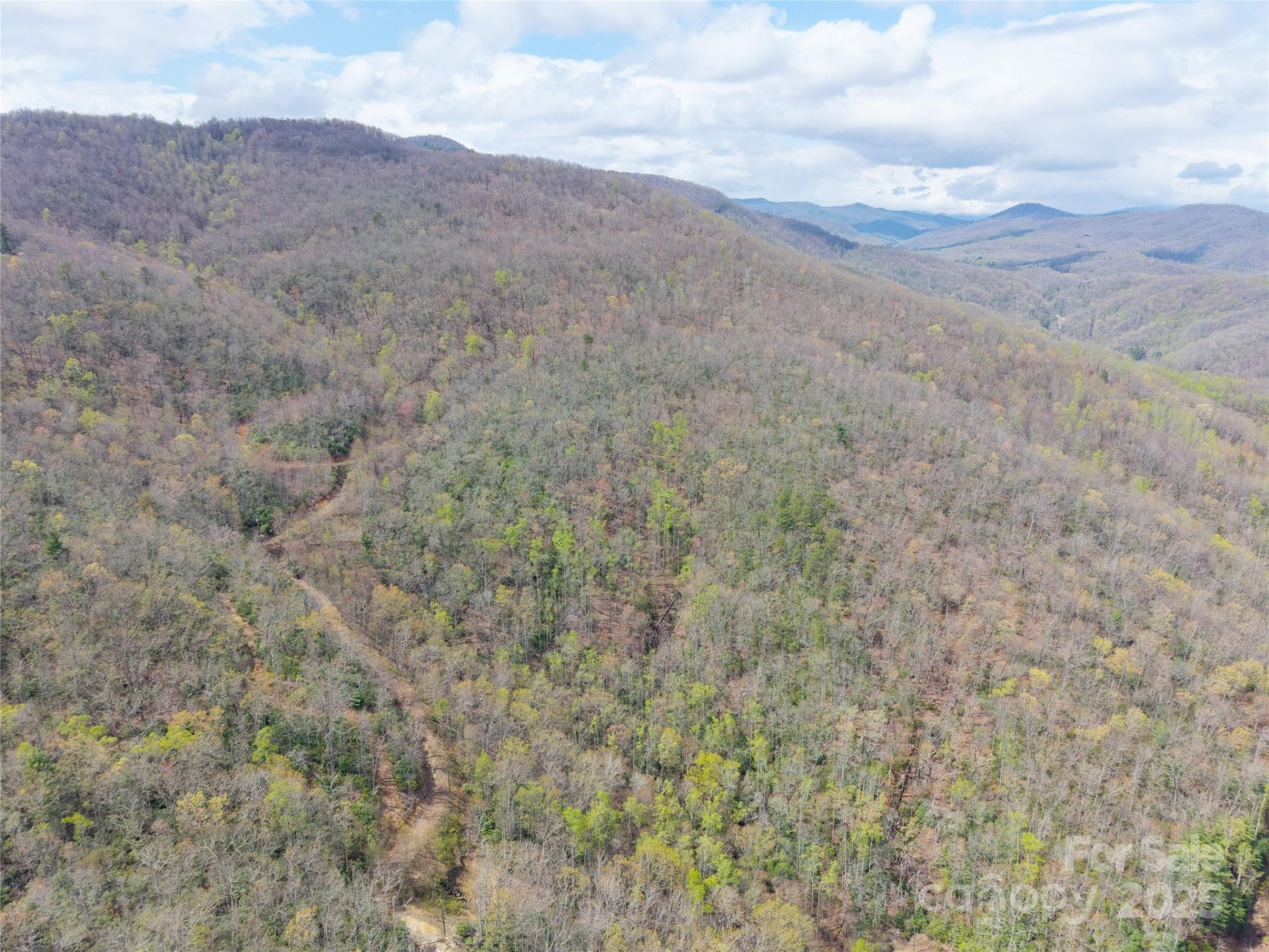 000 NC 9 Highway - Photo 21