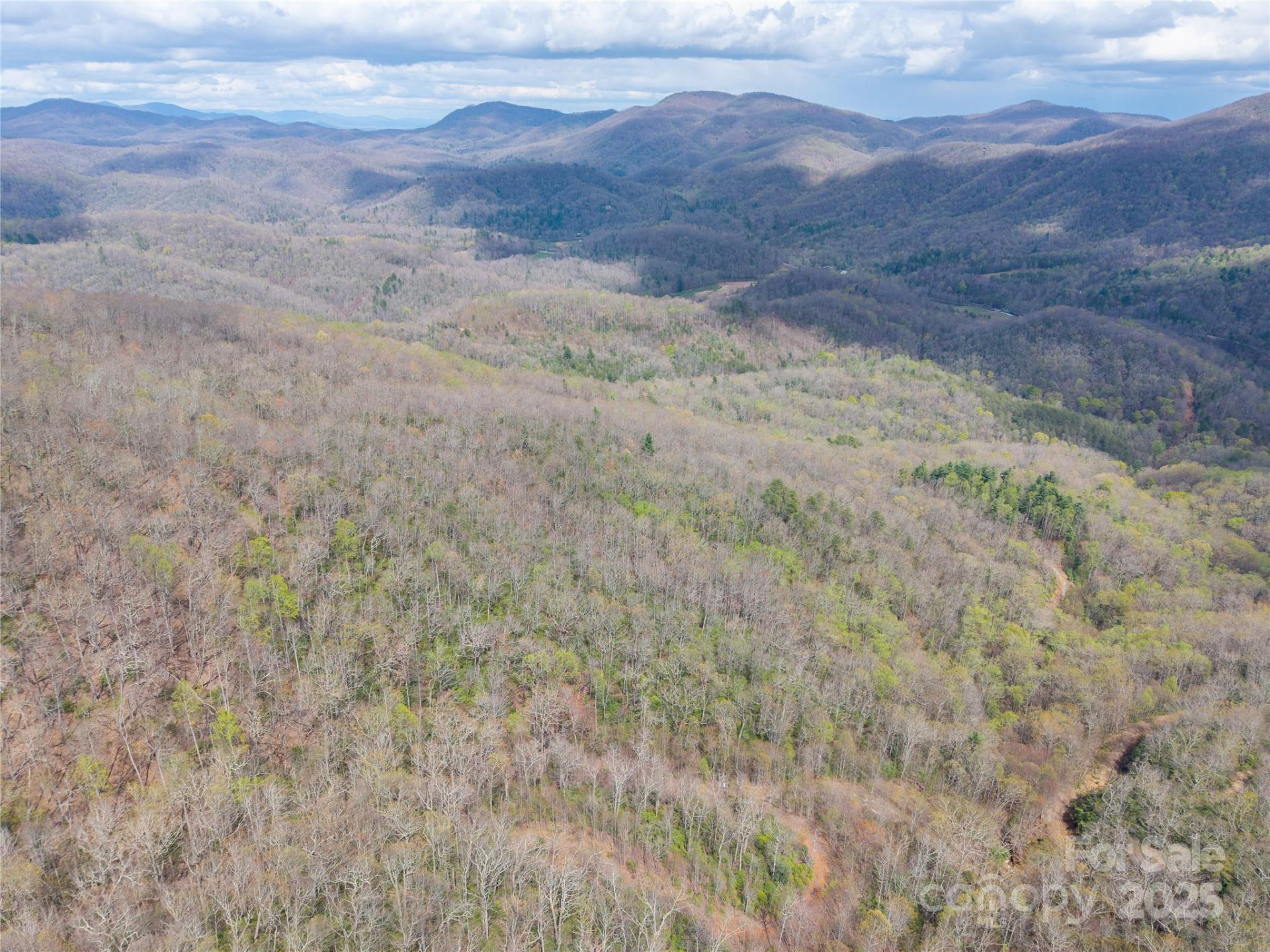 000 NC 9 Highway - Photo 22