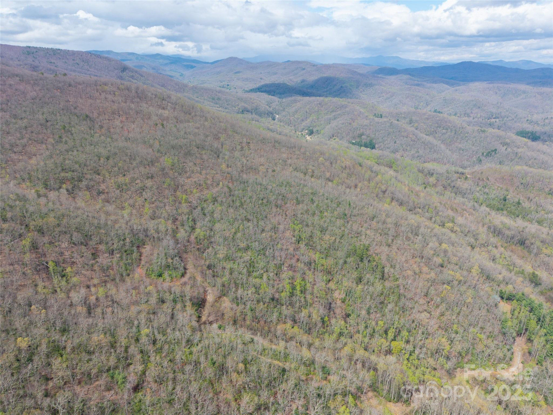 000 NC 9 Highway - Photo 4