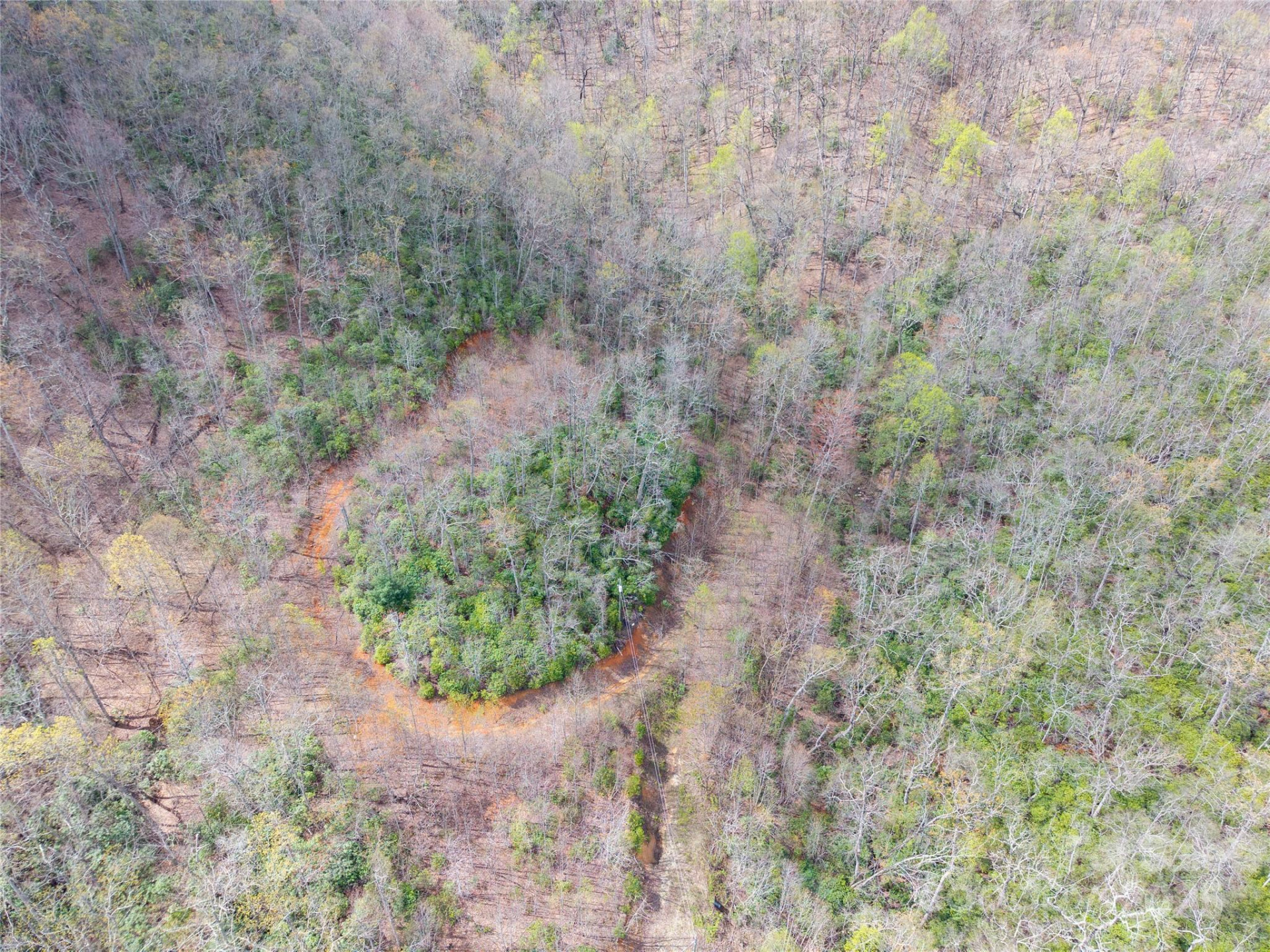 000 NC 9 Highway - Photo 7