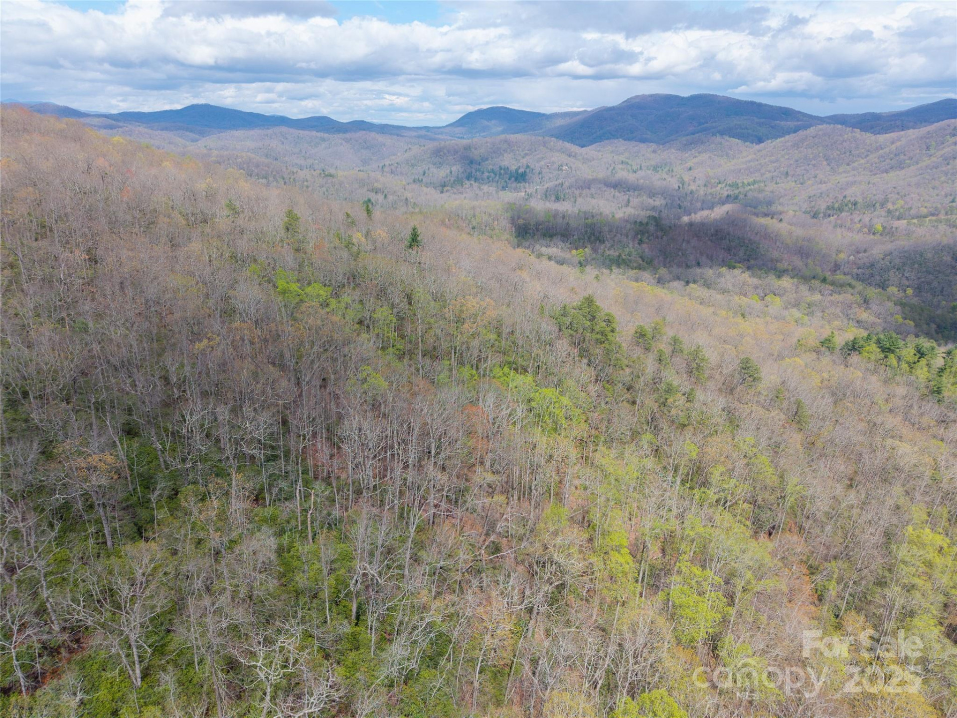 000 NC 9 Highway - Photo 8