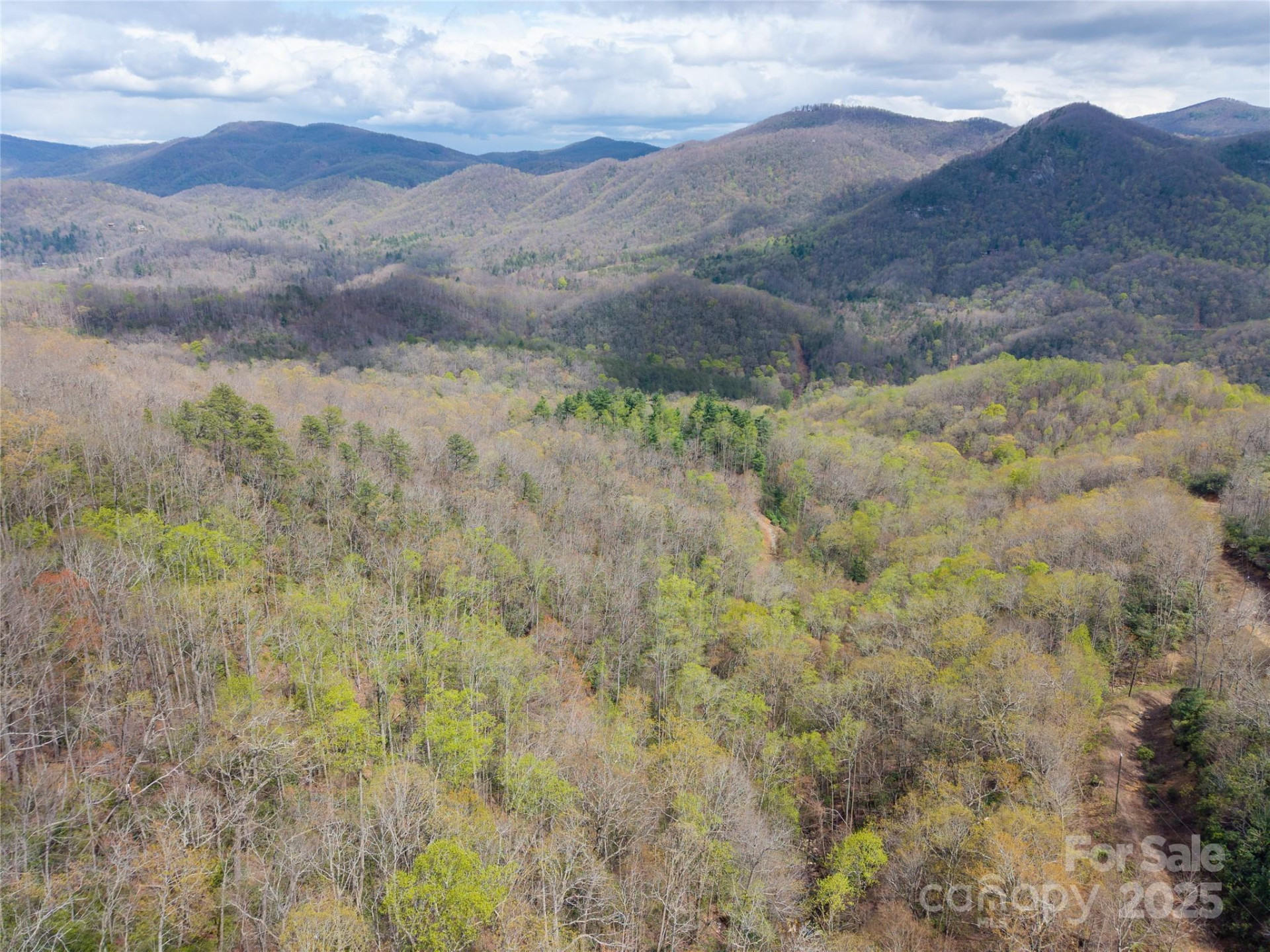 000 NC 9 Highway - Photo 9