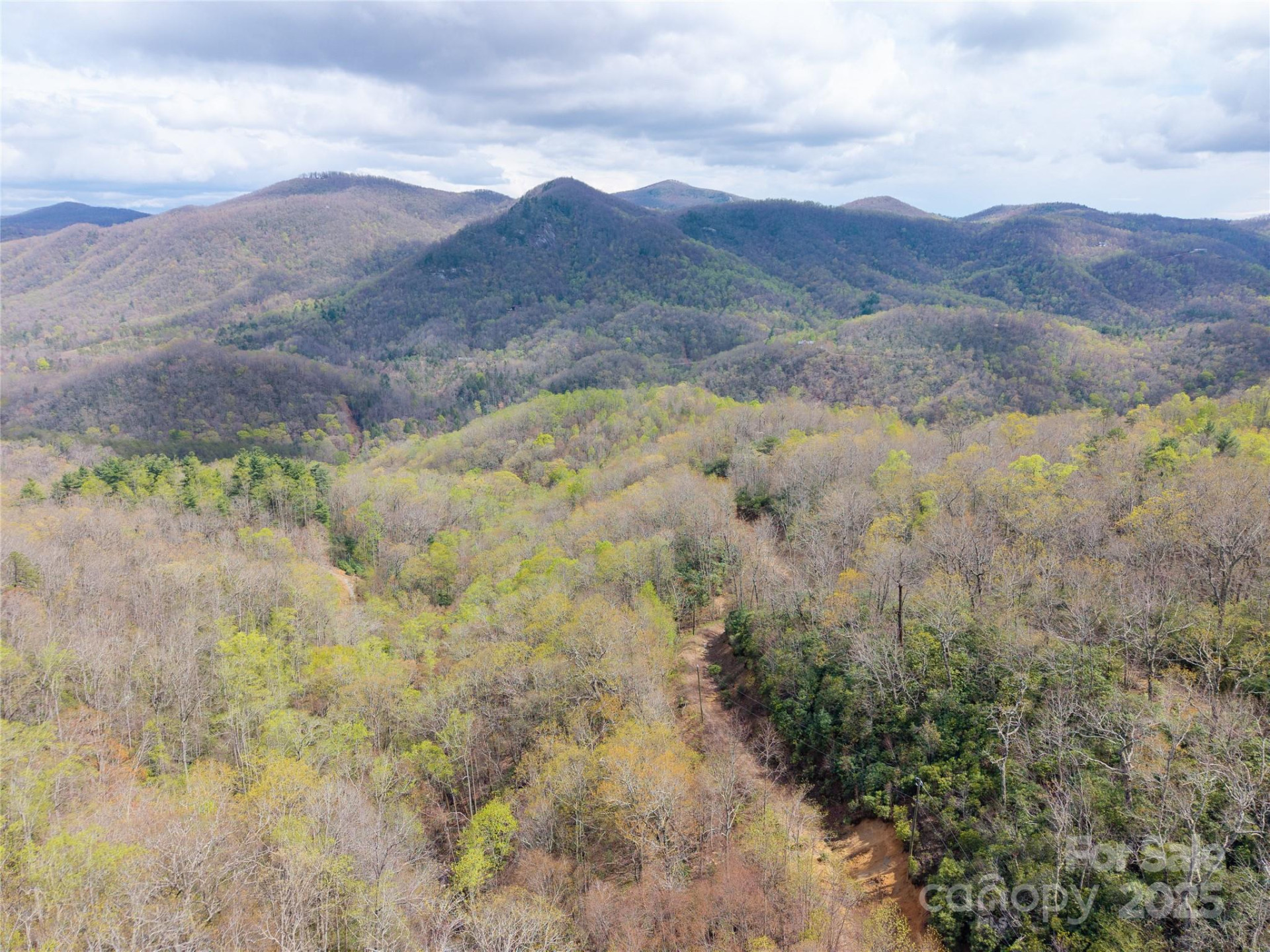000 NC 9 Highway - Photo 10