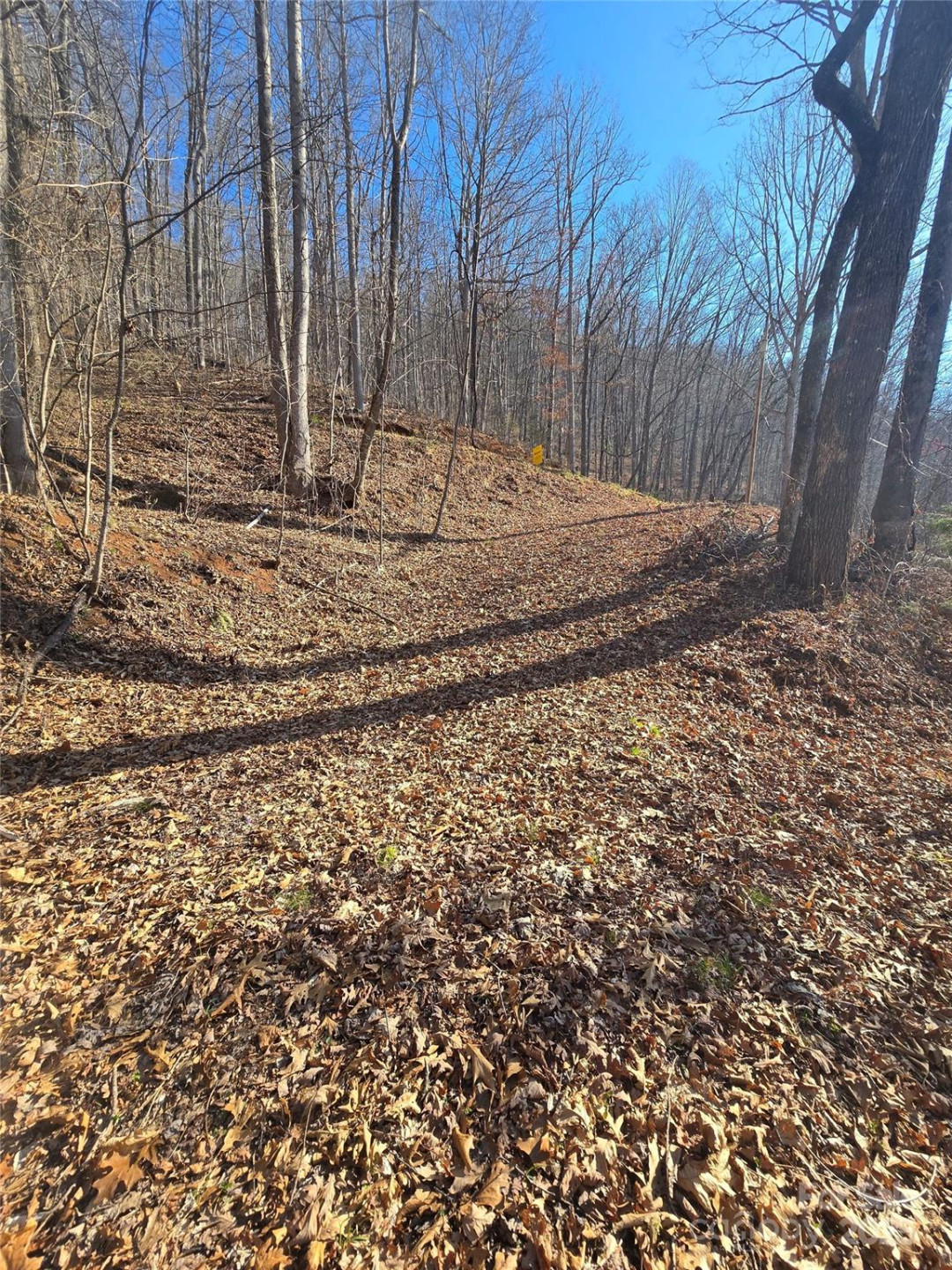 32 Black Mountain Road - Photo 3