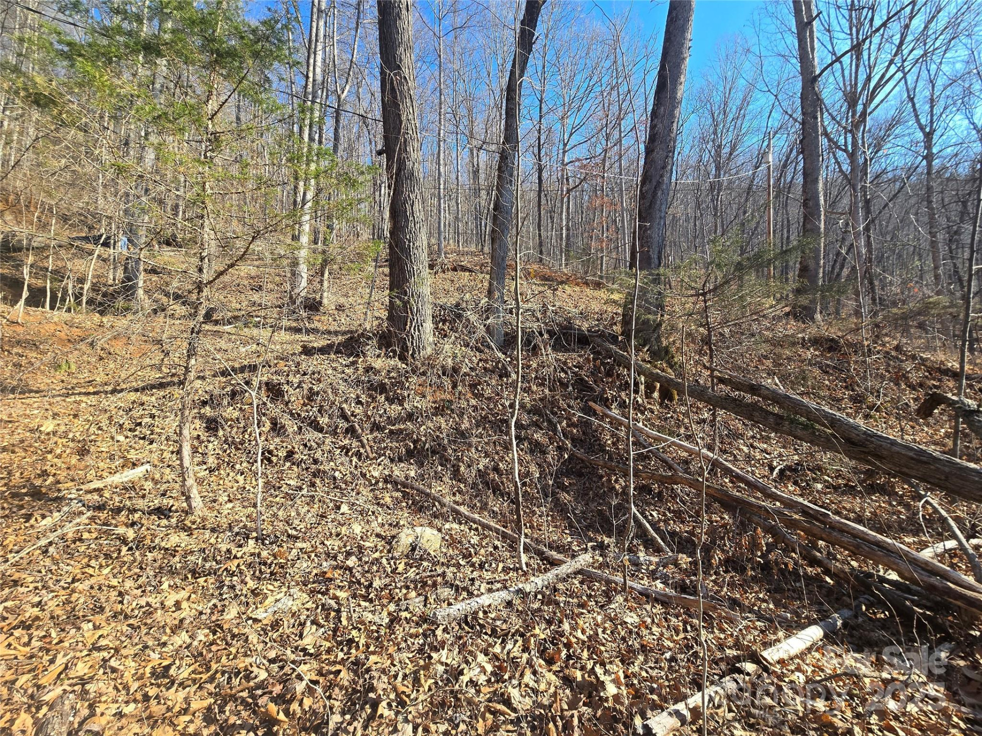 32 Black Mountain Road - Photo 4