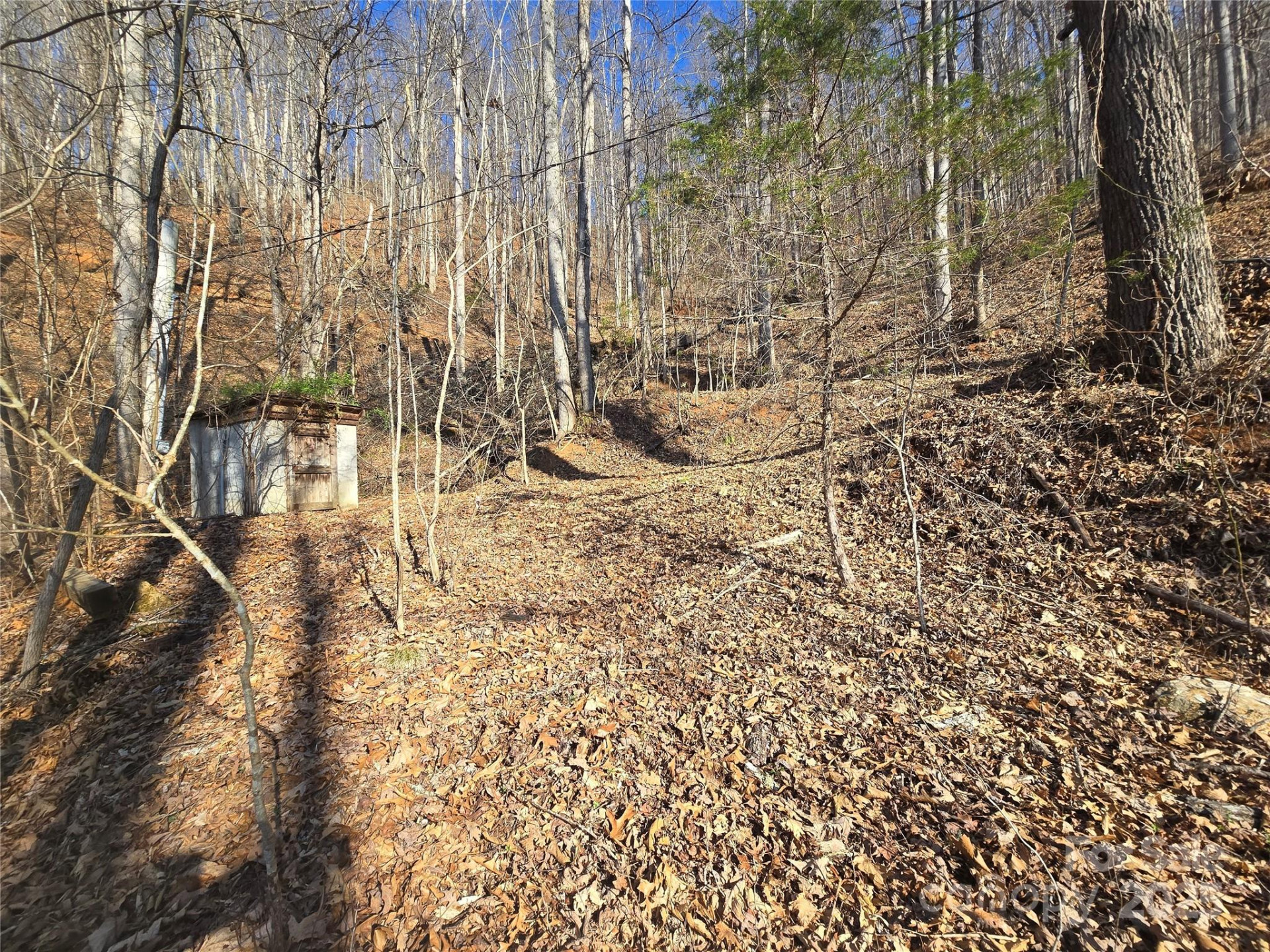 32 Black Mountain Road - Photo 5