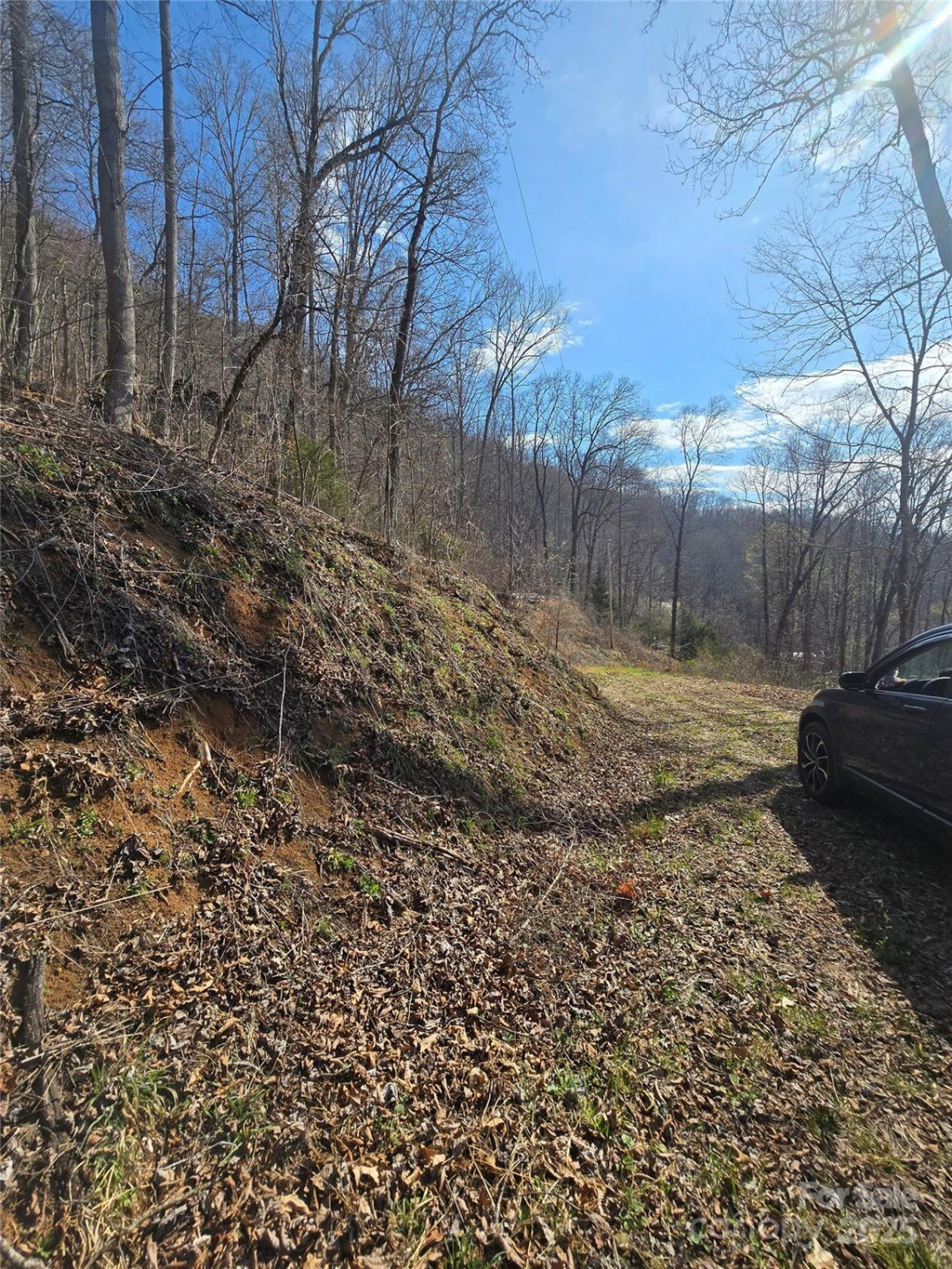 32 Black Mountain Road - Photo 6