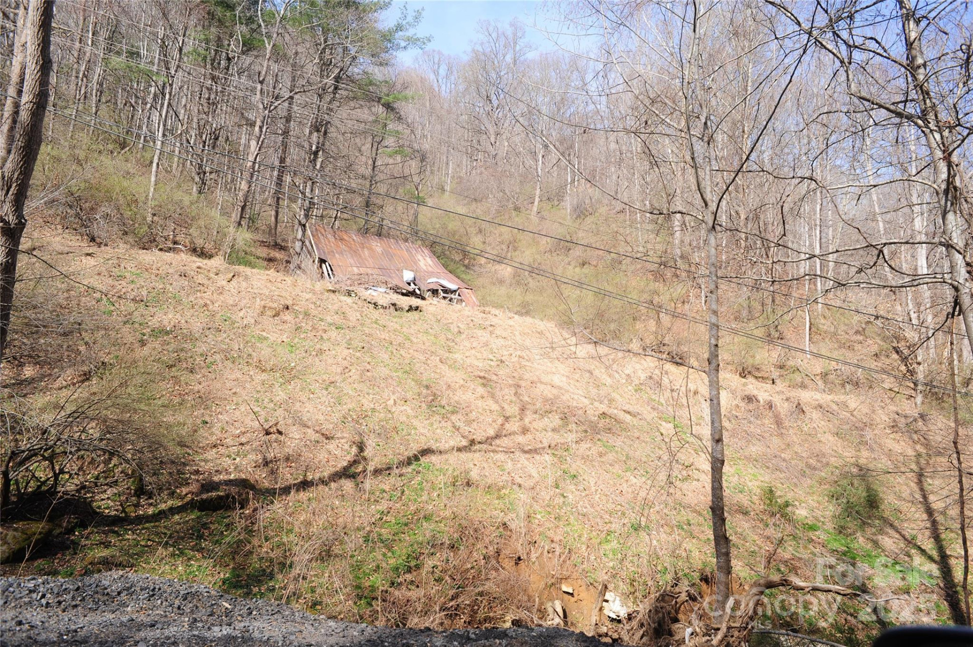 00 Coxes Creek Road - Photo 2