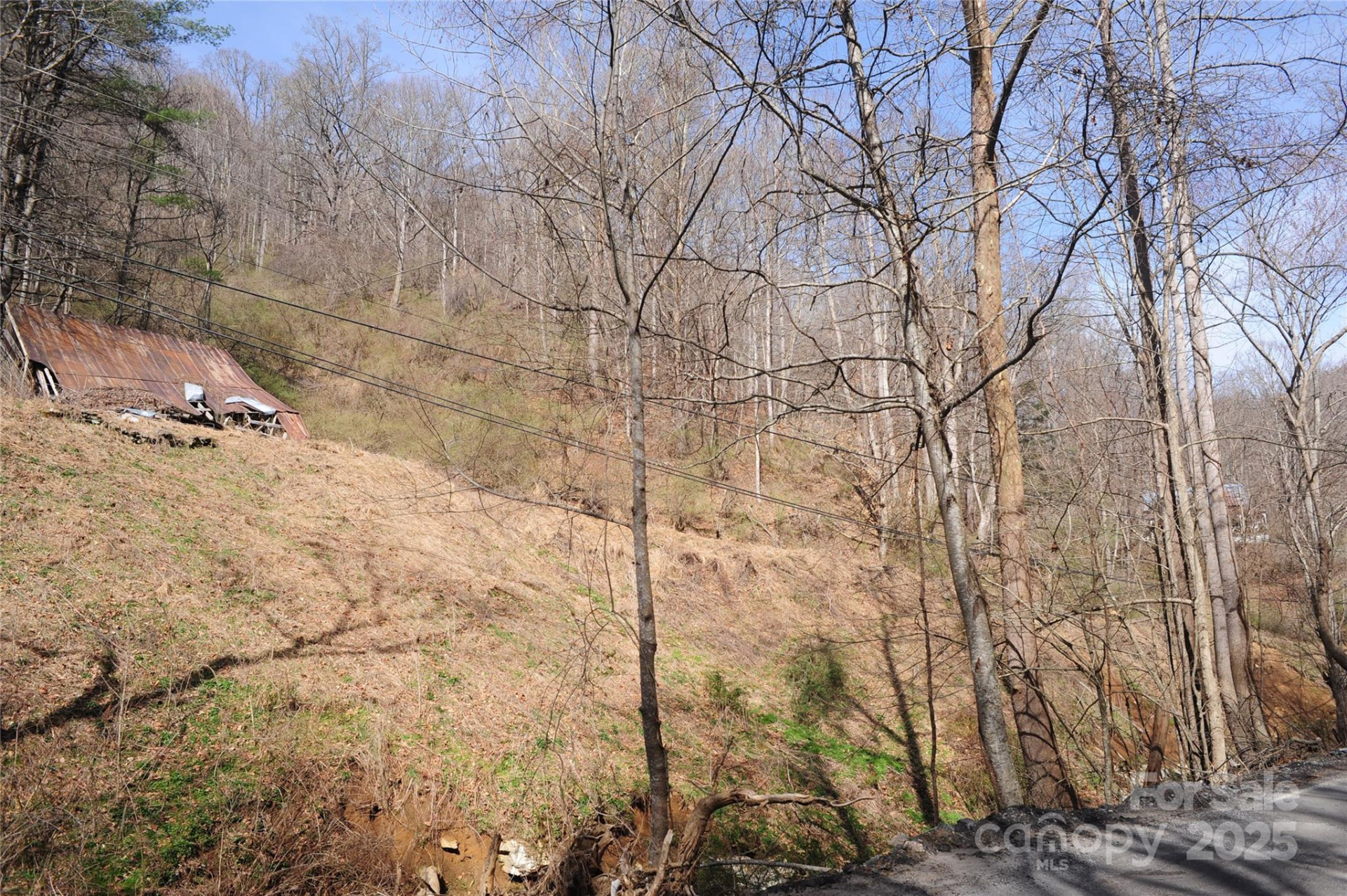 00 Coxes Creek Road - Photo 3