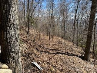 28 Angel Road - Photo 4