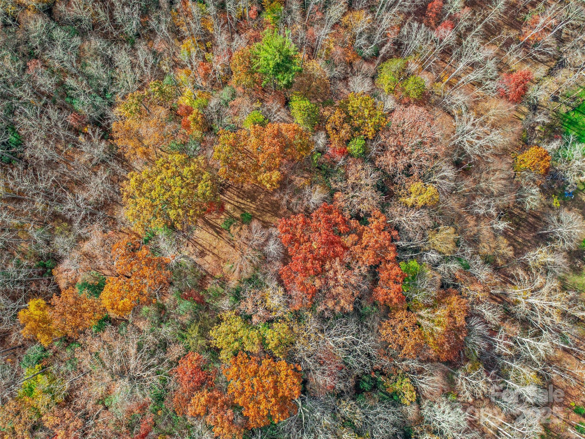 384 Flat Creek Road - Photo 24