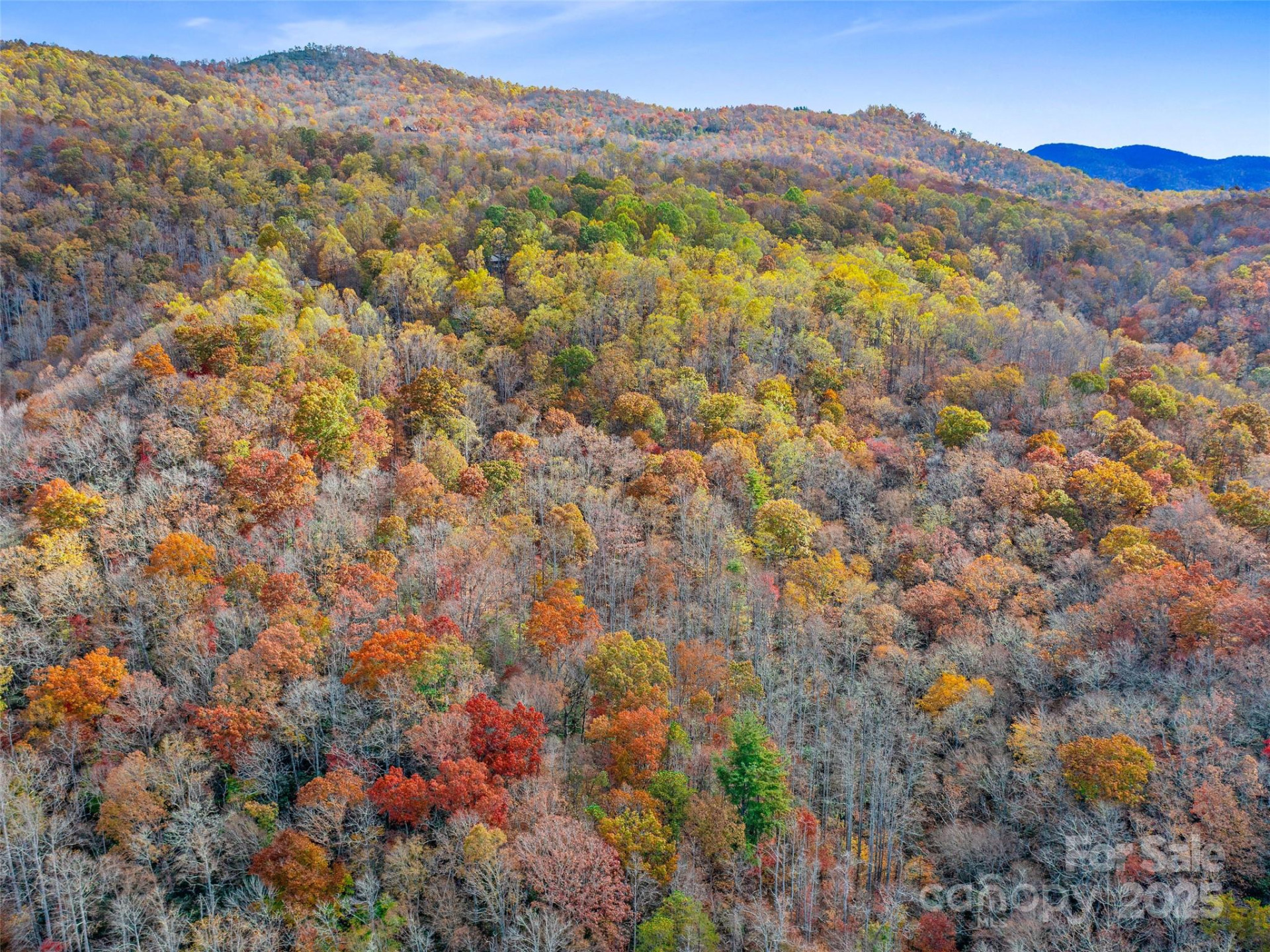 384 Flat Creek Road - Photo 25