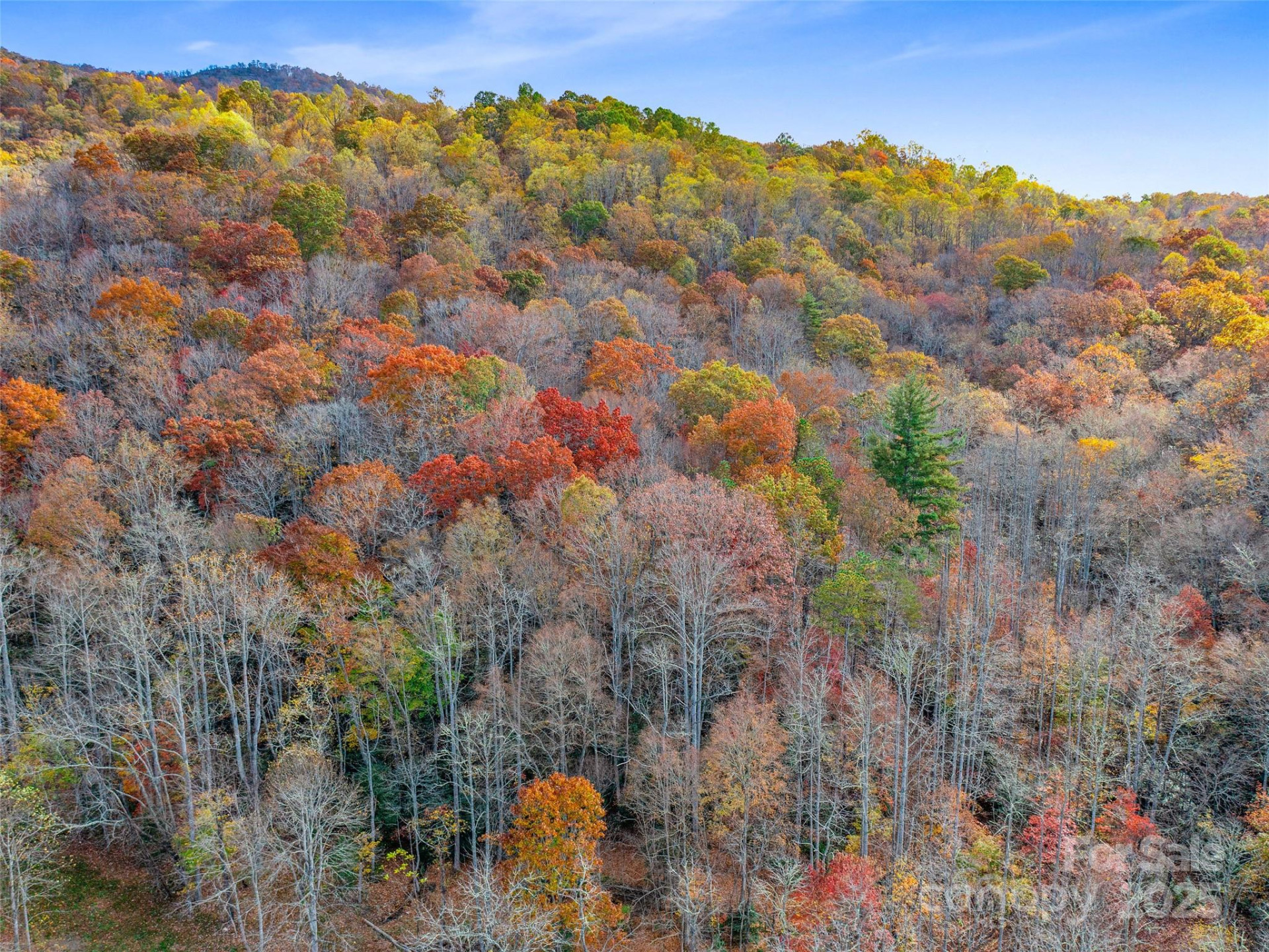 384 Flat Creek Road - Photo 26