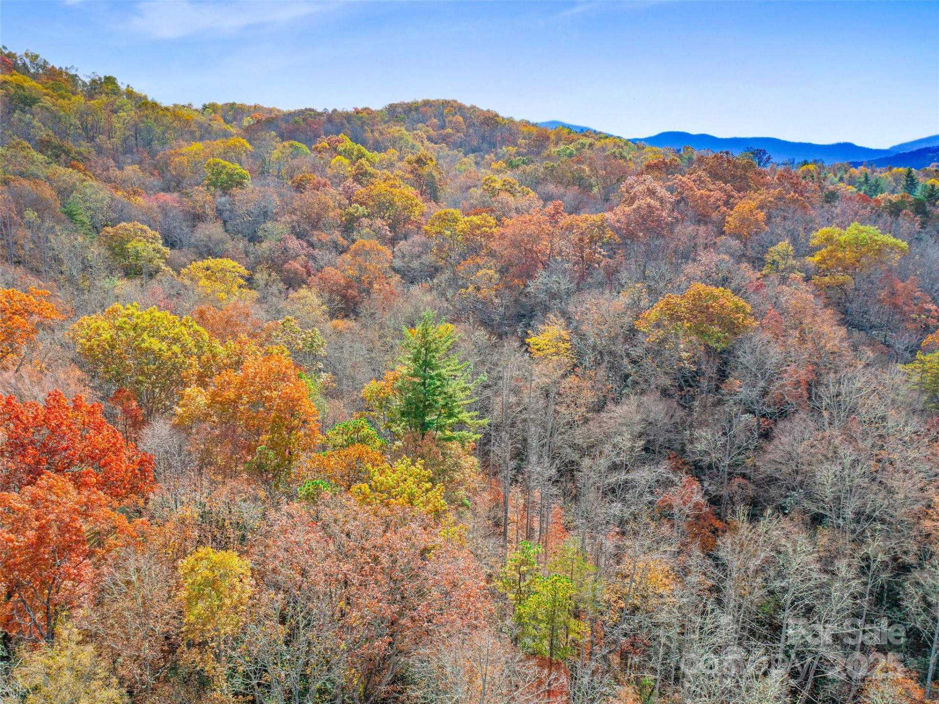 384 Flat Creek Road - Photo 27